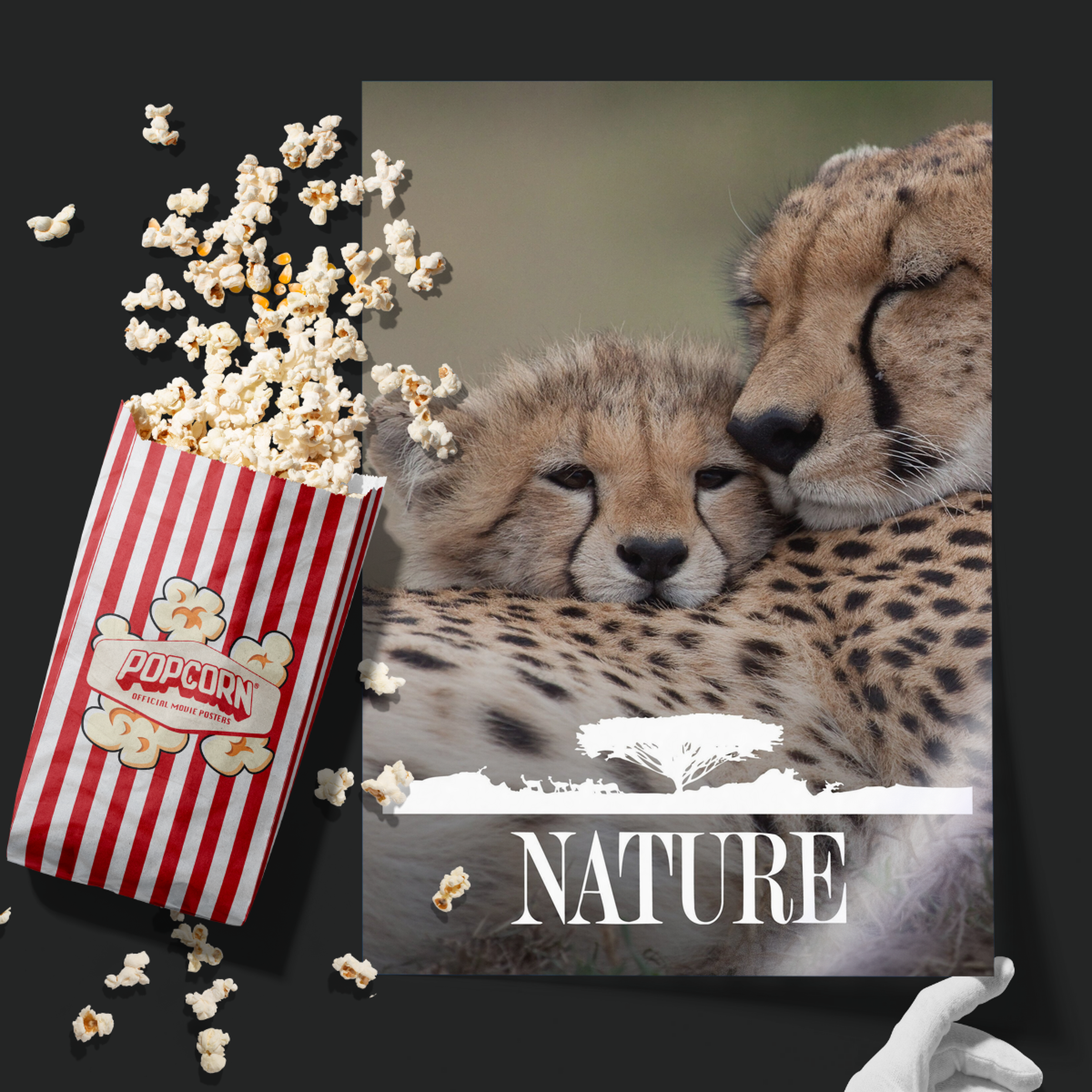Nature (1982)