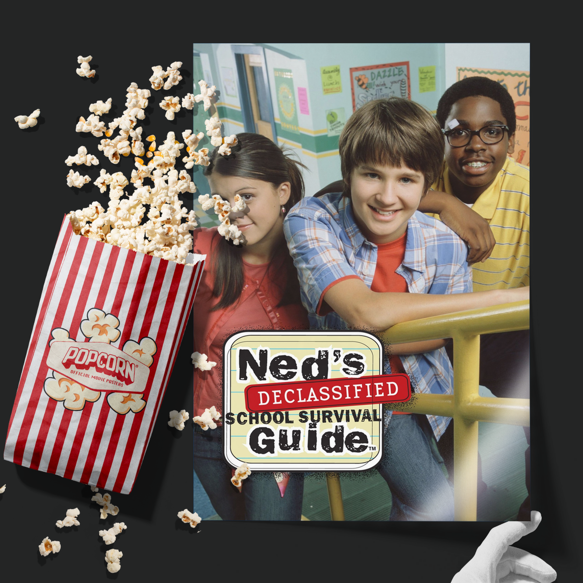 Ned's Declassified School Survival Guide (2004)