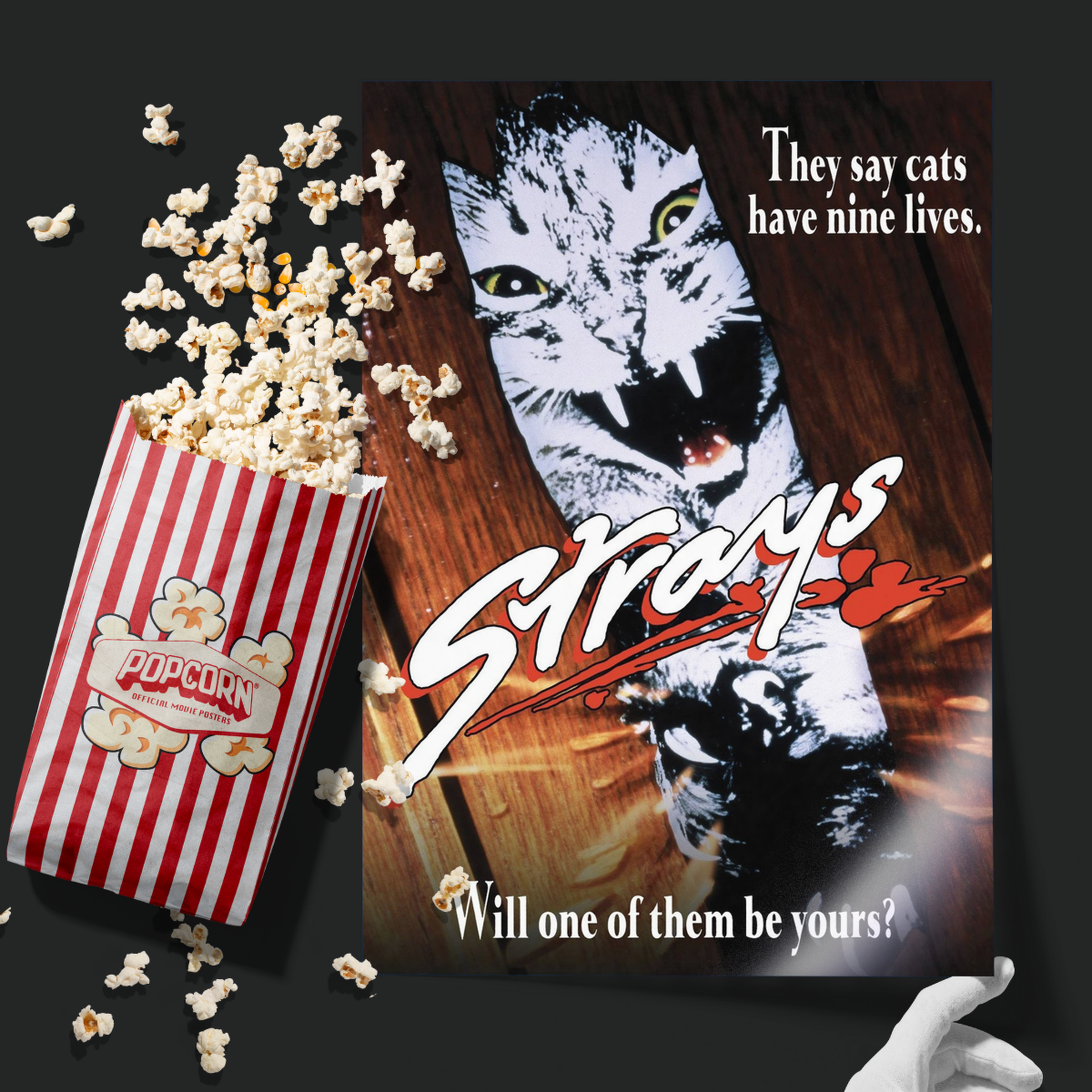 Strays (1991)