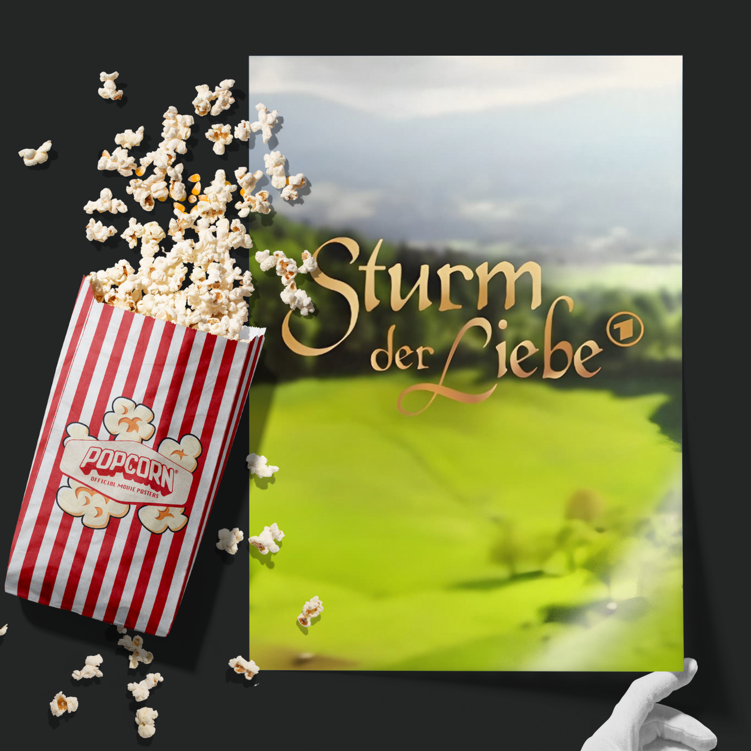 Sturm Der Liebe (2005)