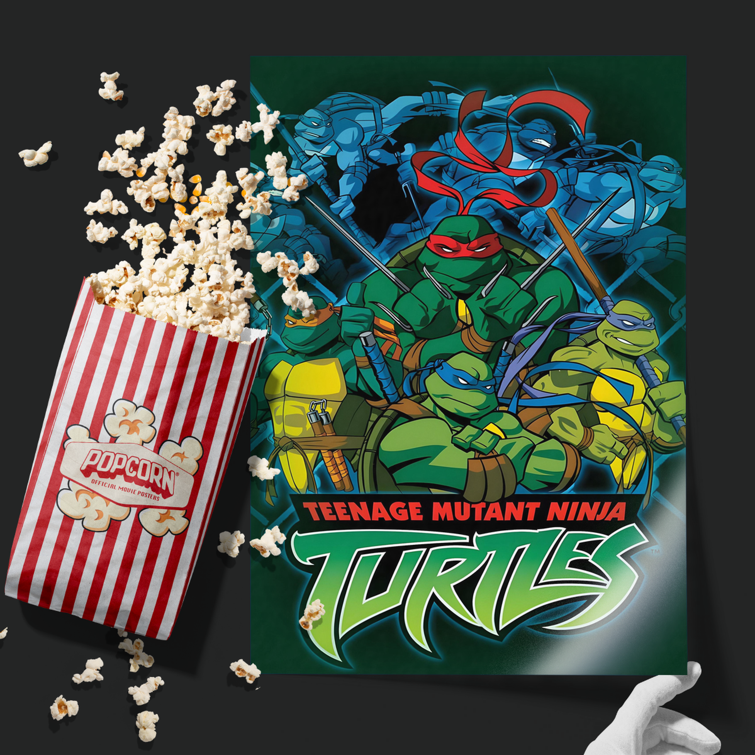 Teenage Mutant Ninja Turtles (2003)