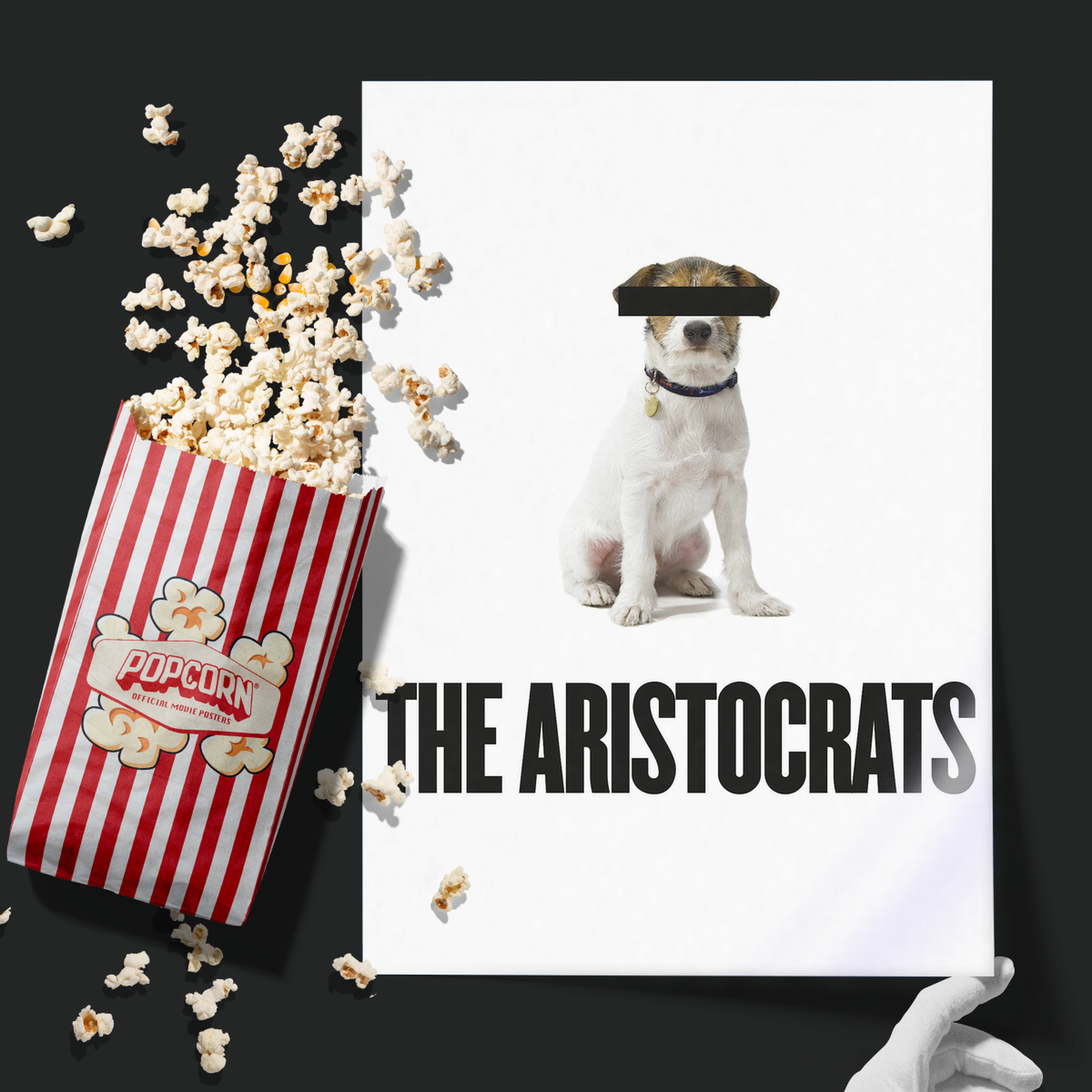 The Aristocrats (2005)