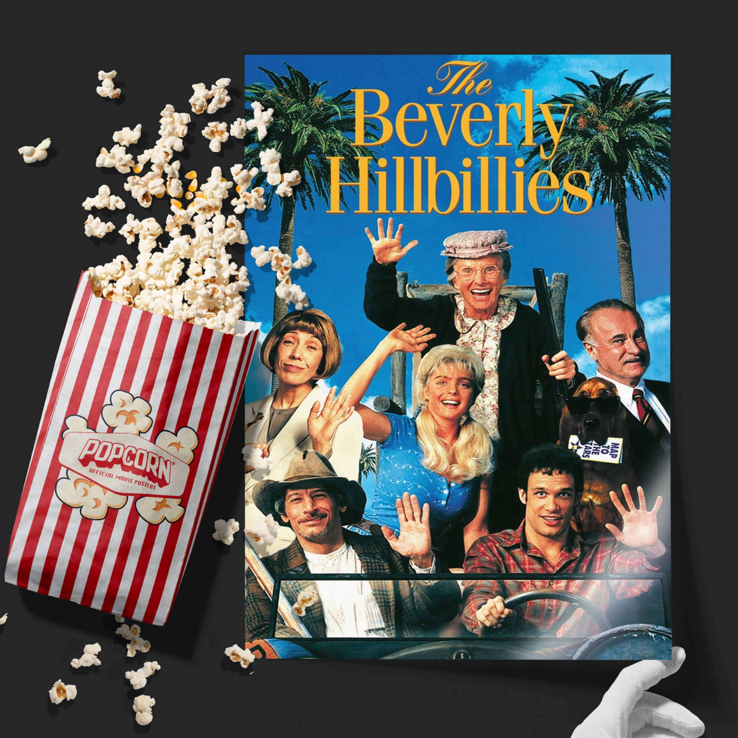 The Beverly Hillbillies (1993)