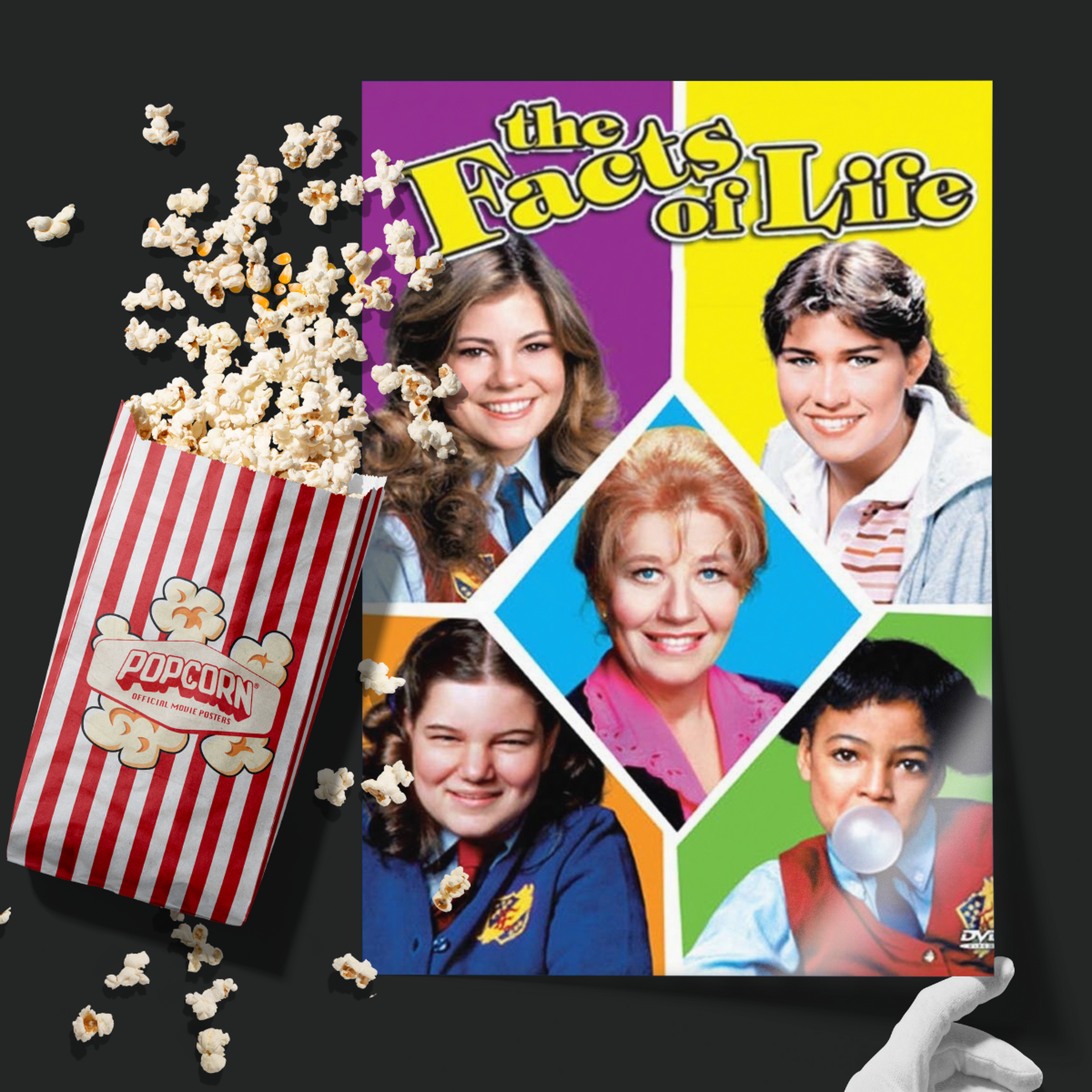 The Facts Of Life (1979)