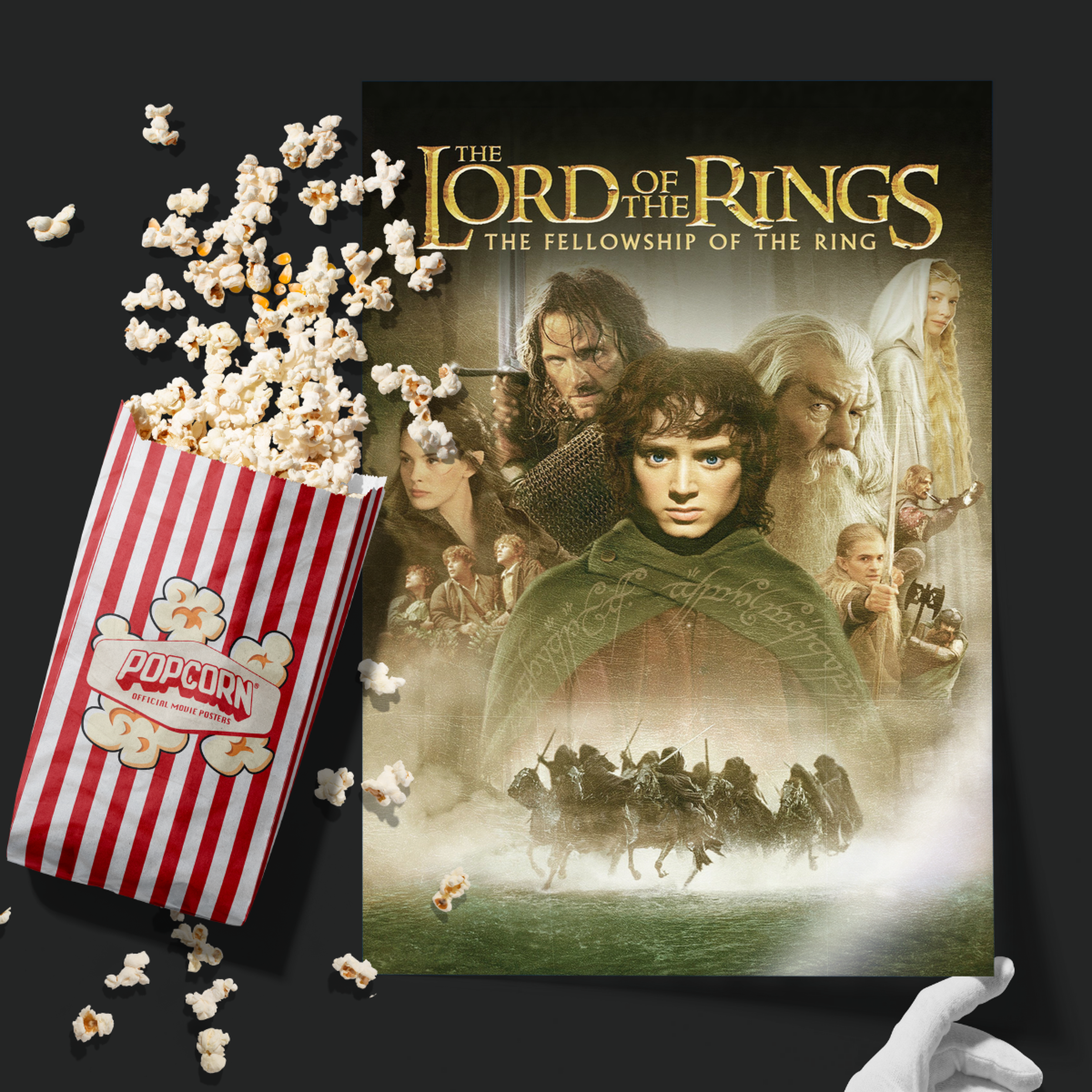 The Lord Of The Rings The Fellowship Of The Ring (2001)