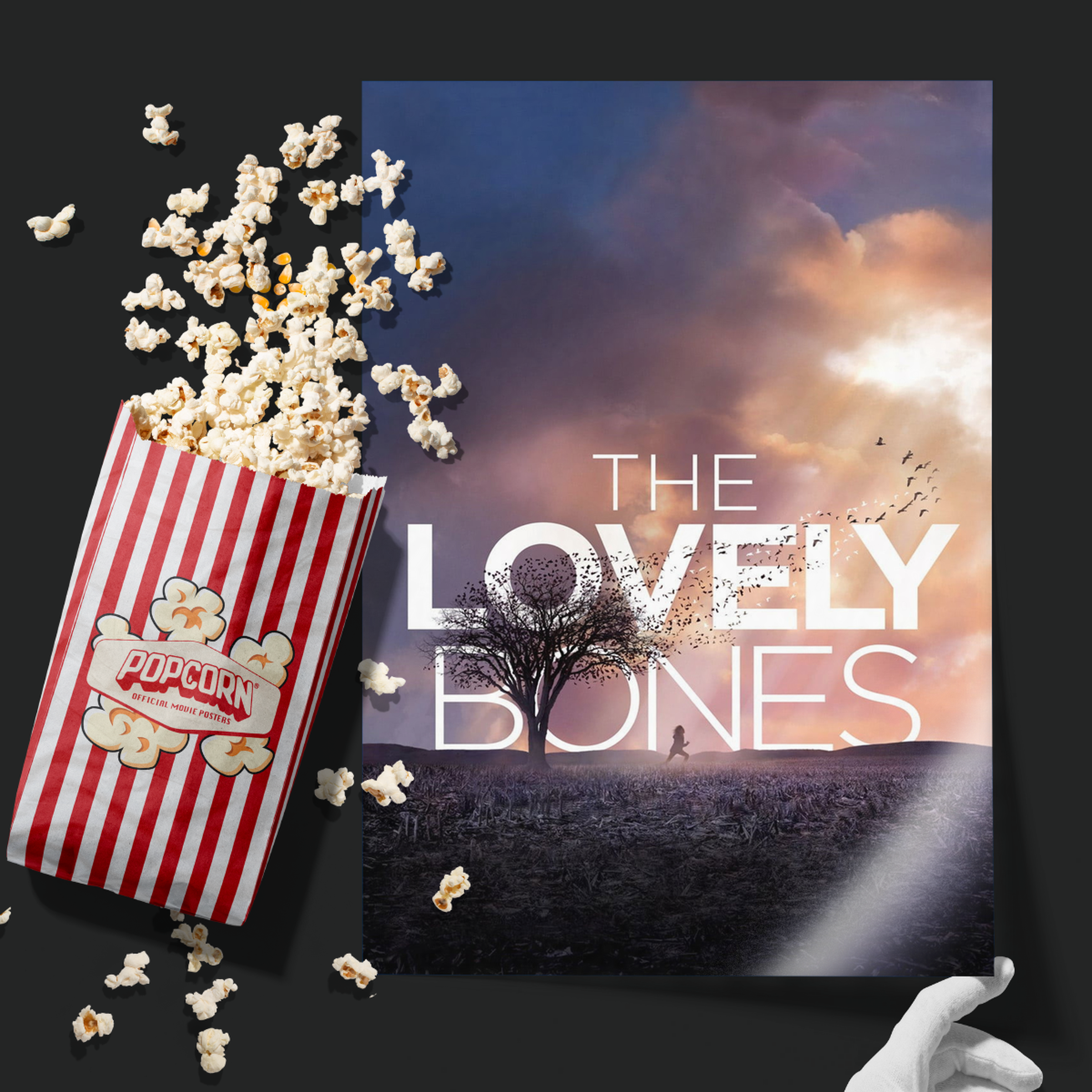 The Lovely Bones (2009)