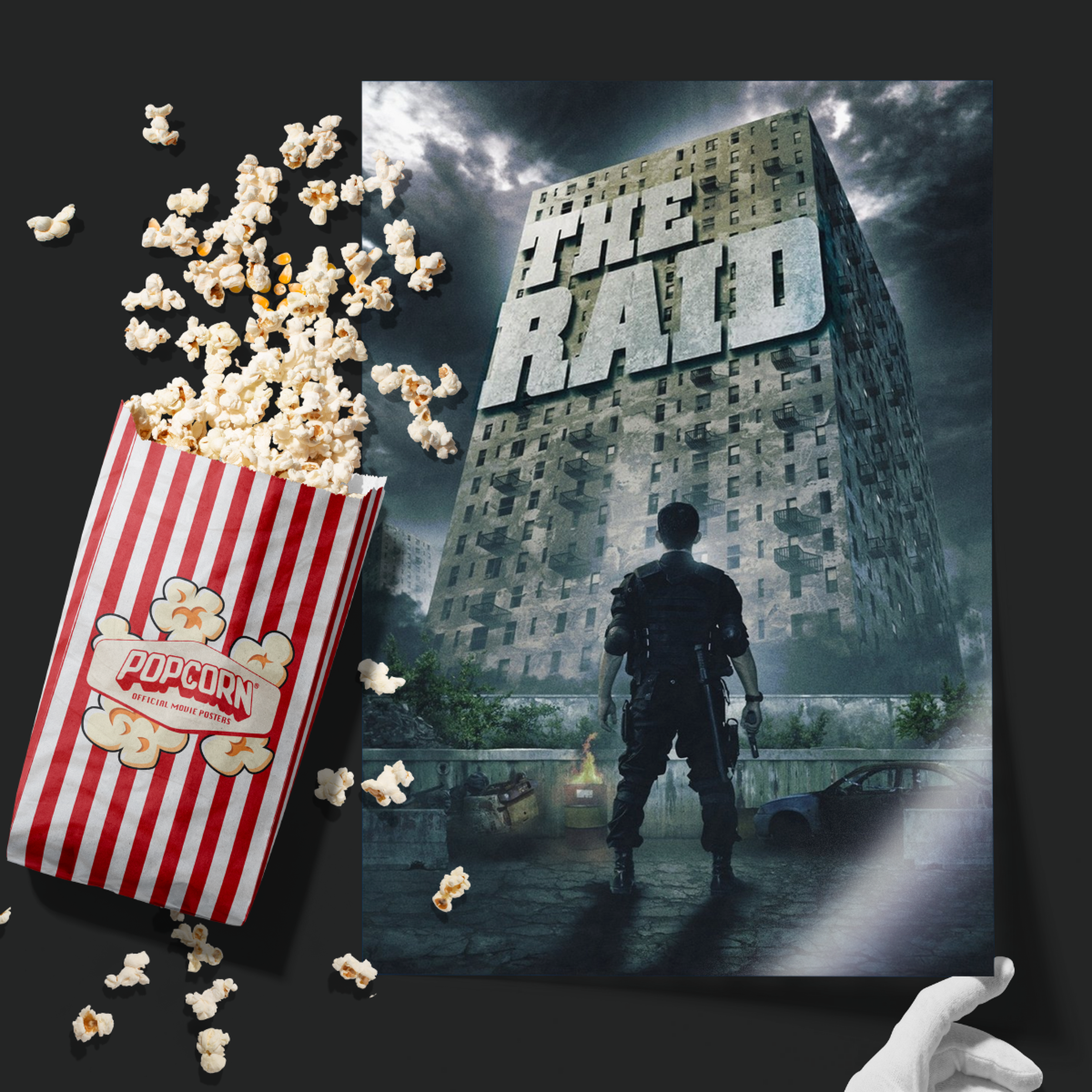 The Raid (2012)