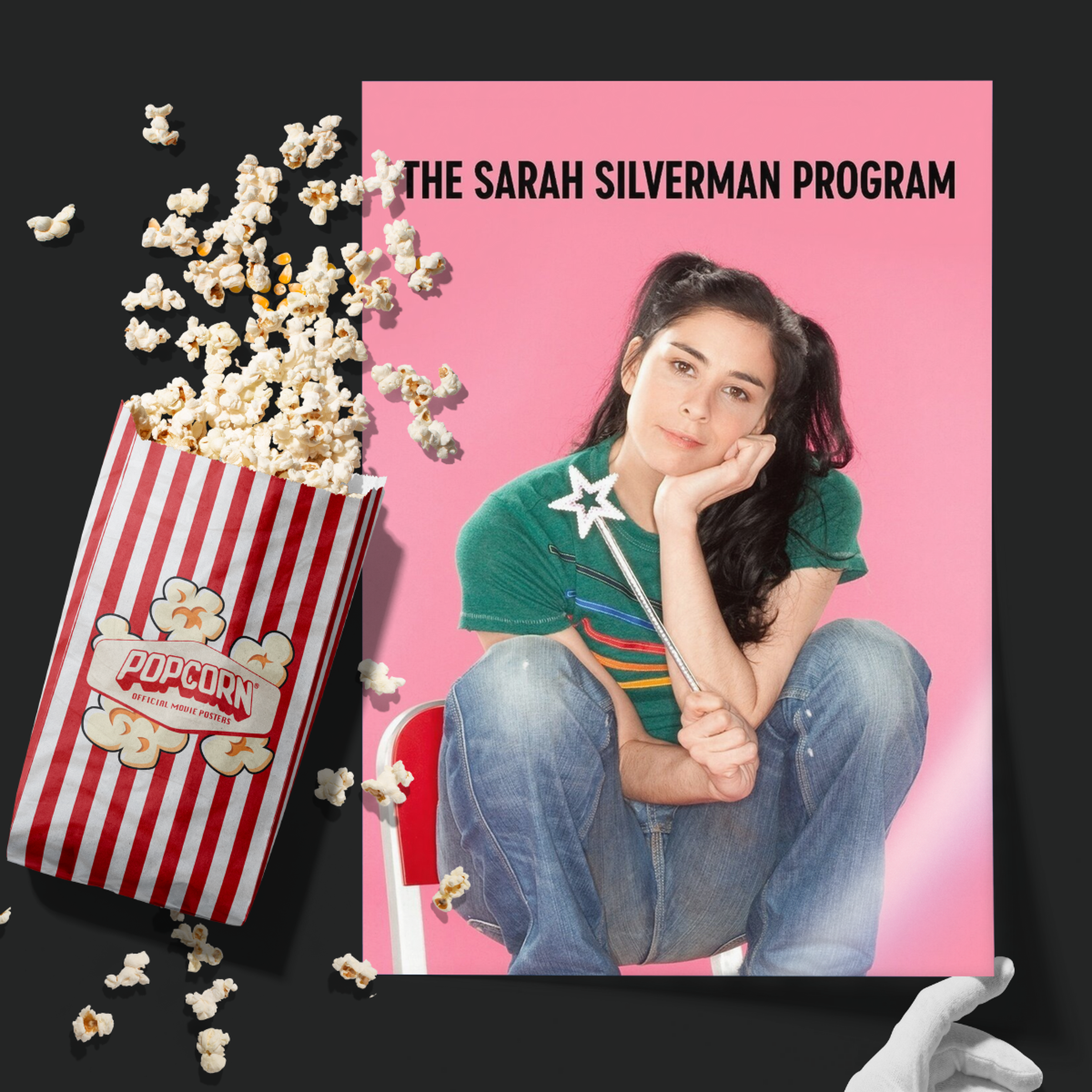 The Sarah Silverman Program. (2007)