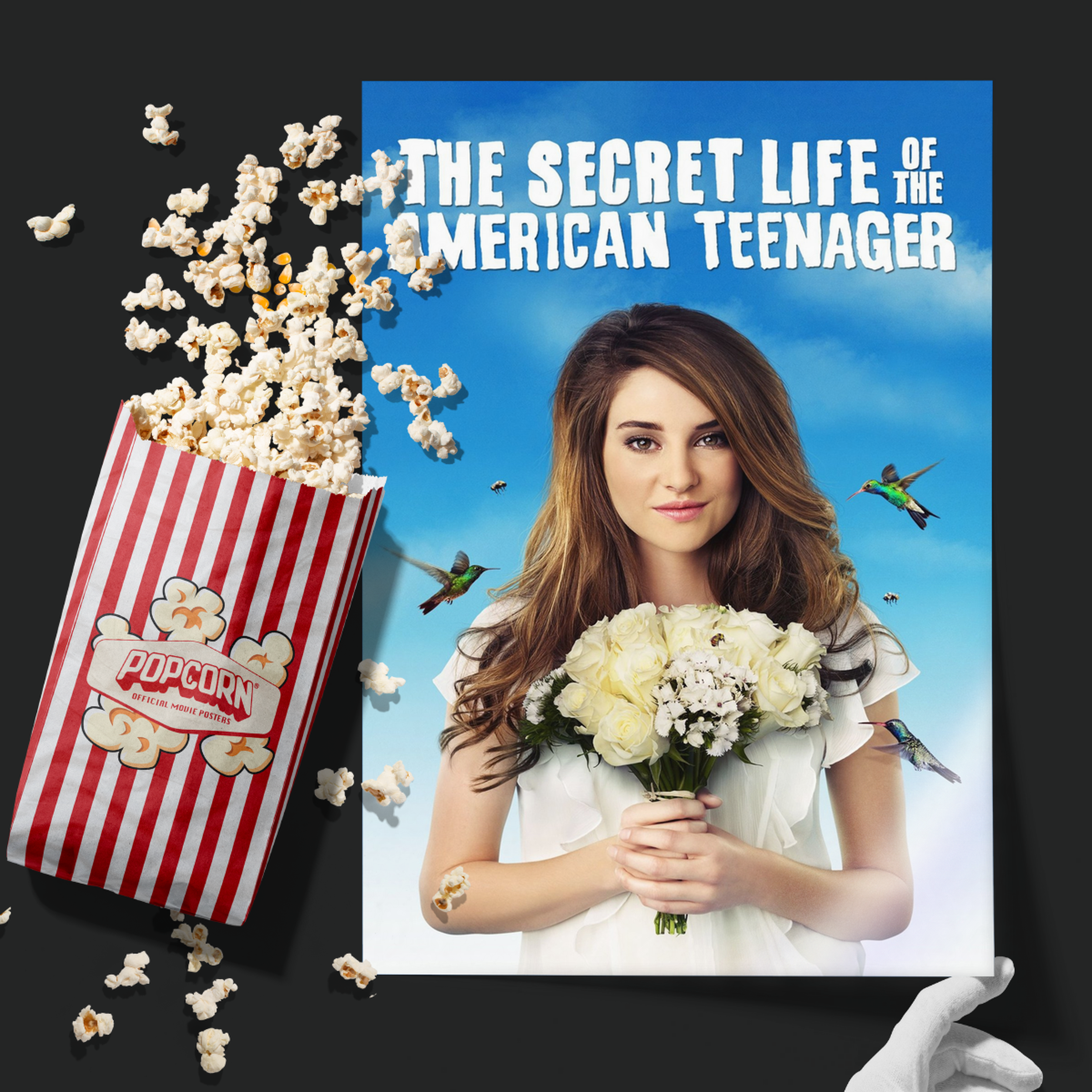 The Secret Life Of The American Teenager (2008)