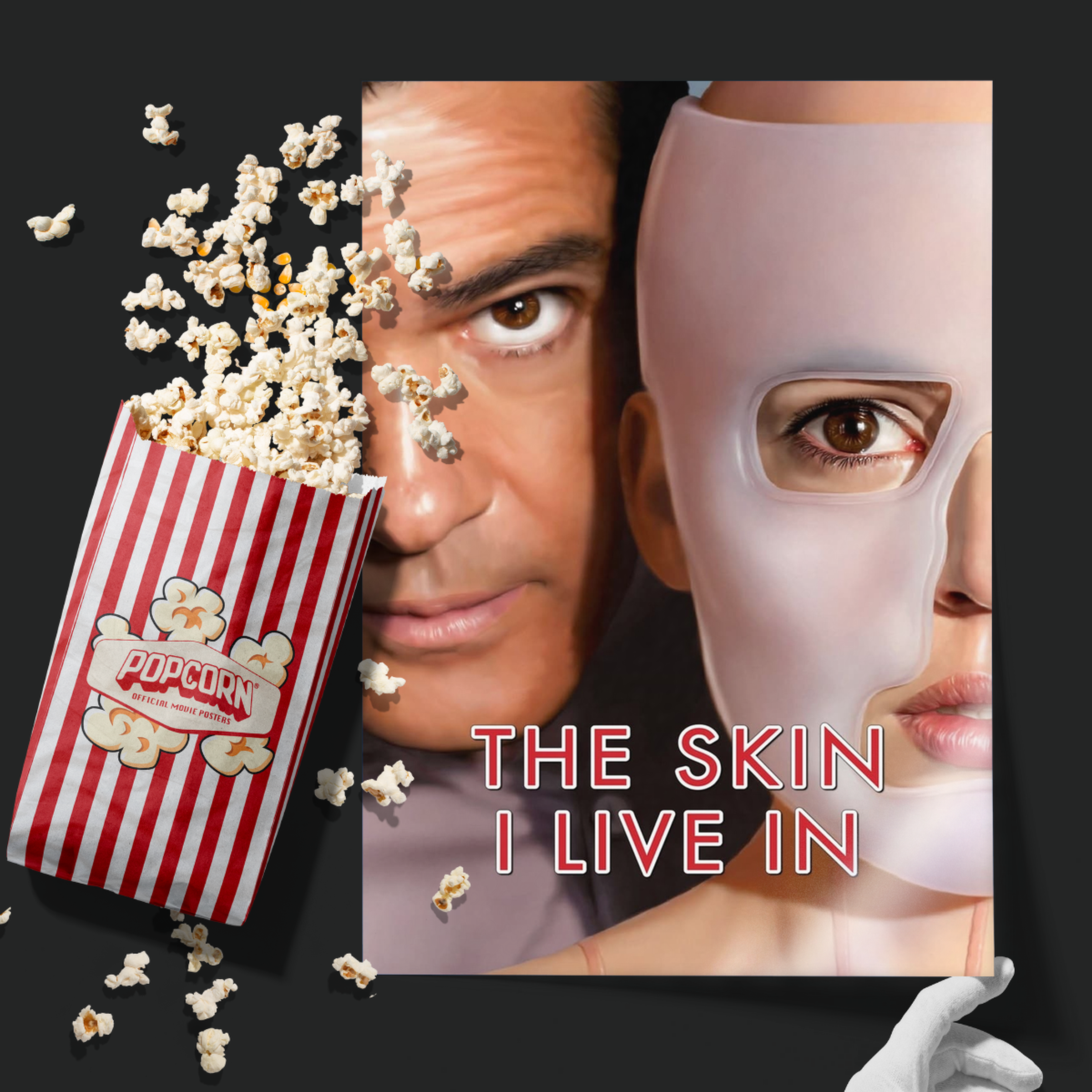 The Skin I Live In (2011)
