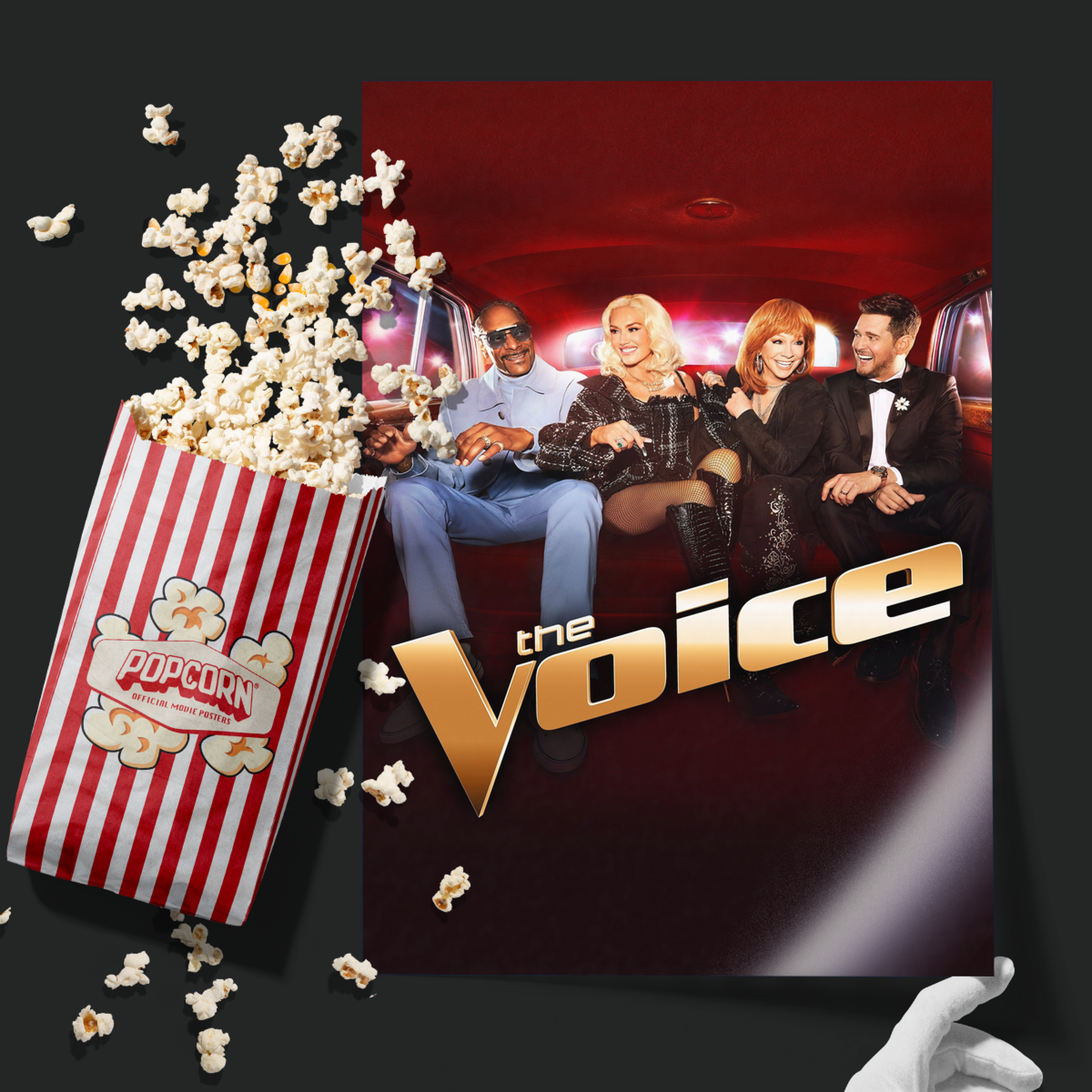 The Voice (2011)
