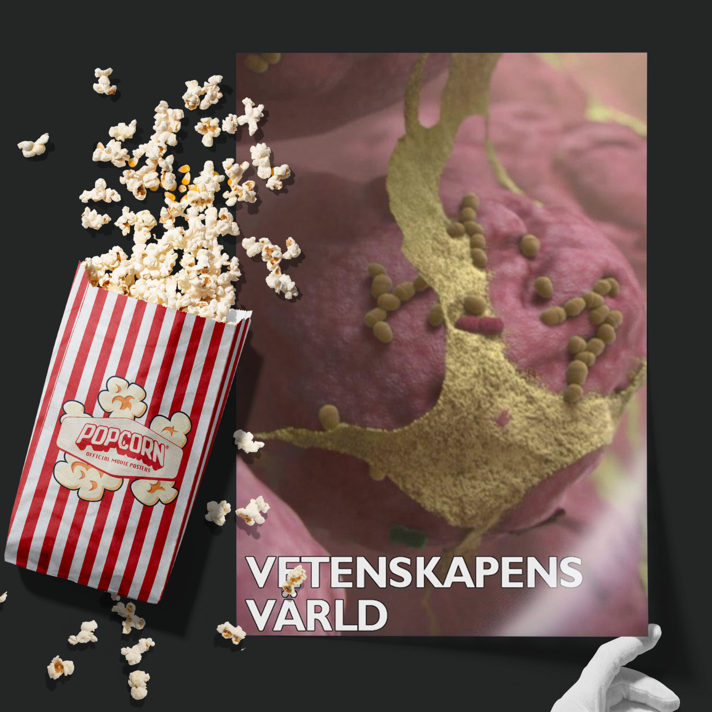 Vetenskapens Värld (1971)