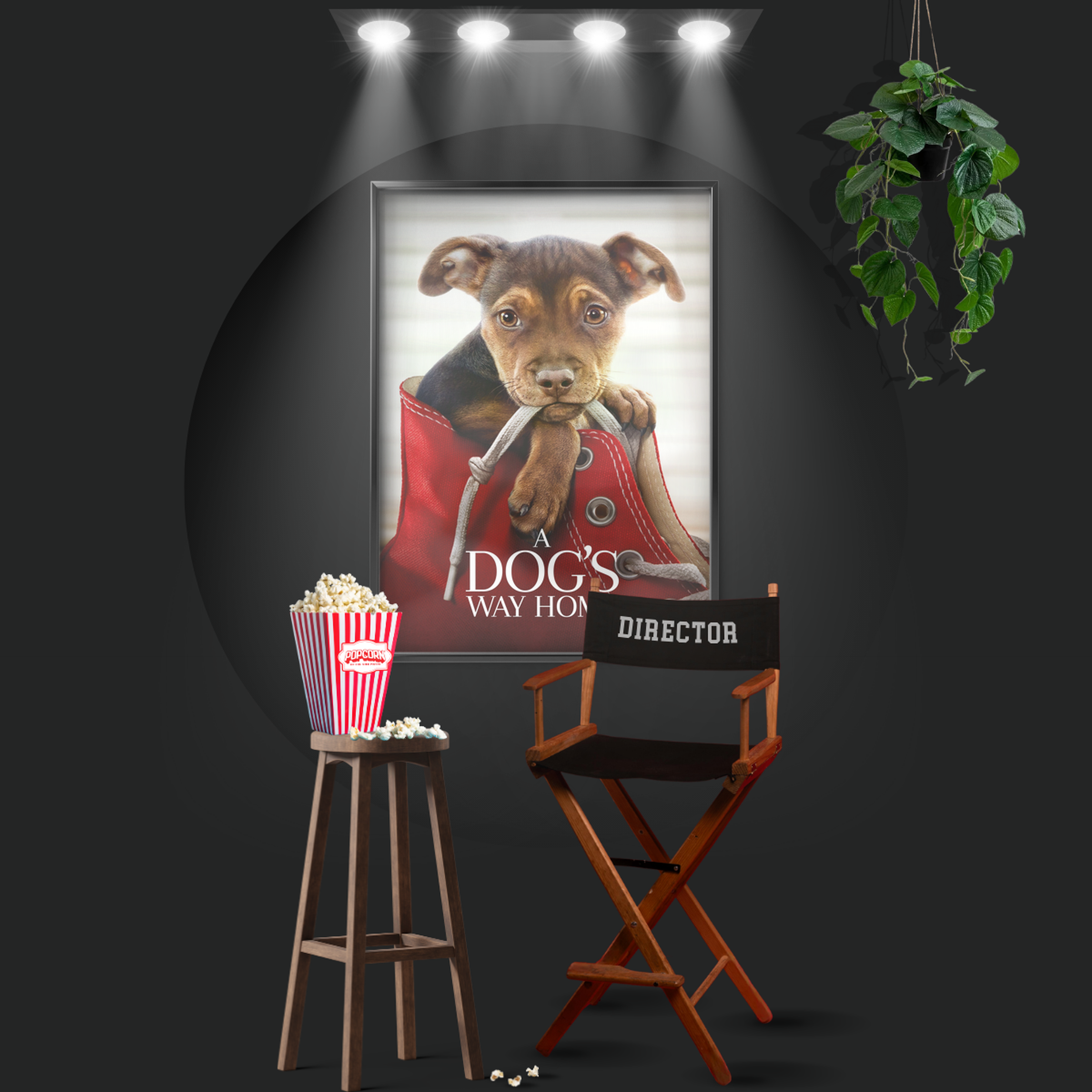 A Dog's Way Home (2019)