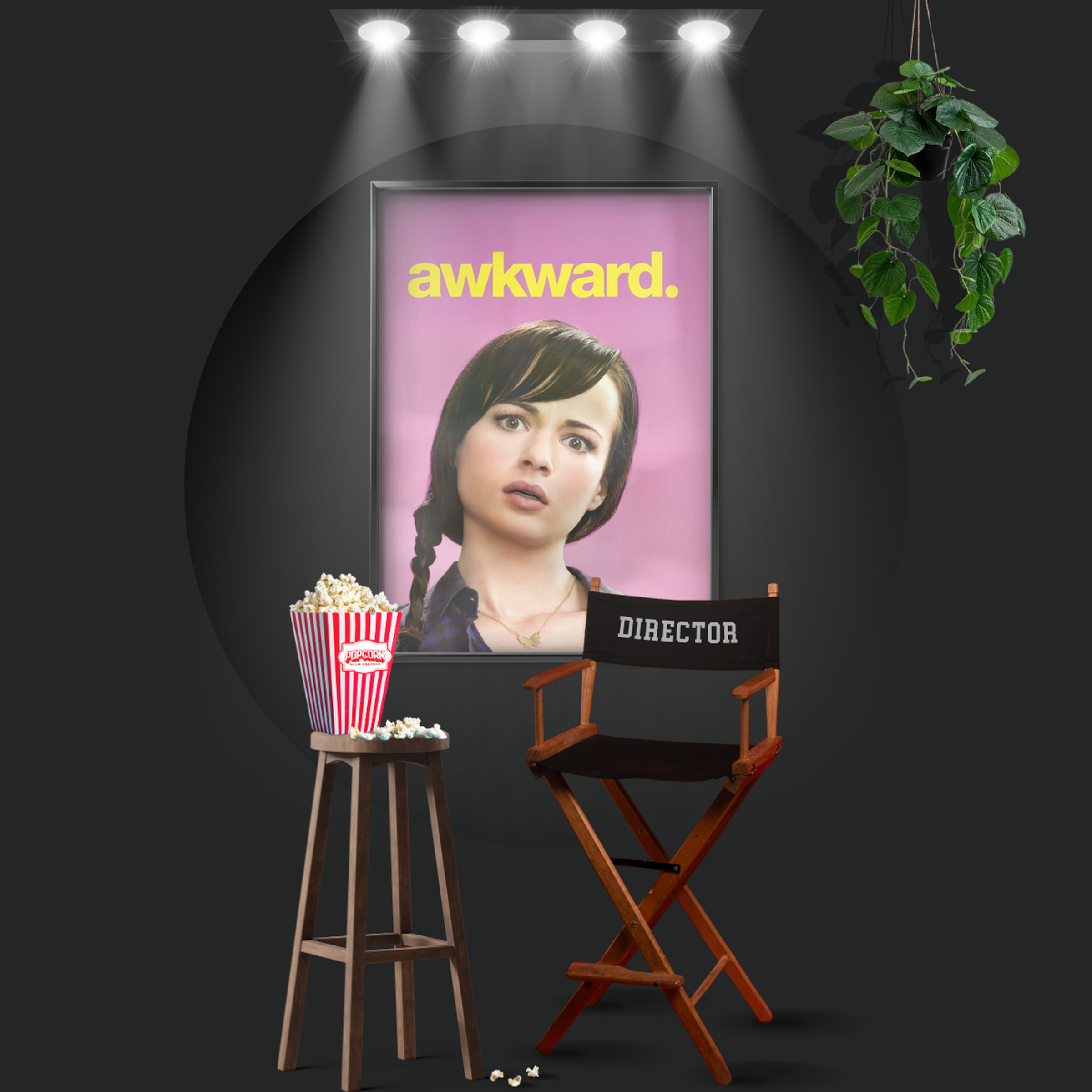 Awkward. (2011)