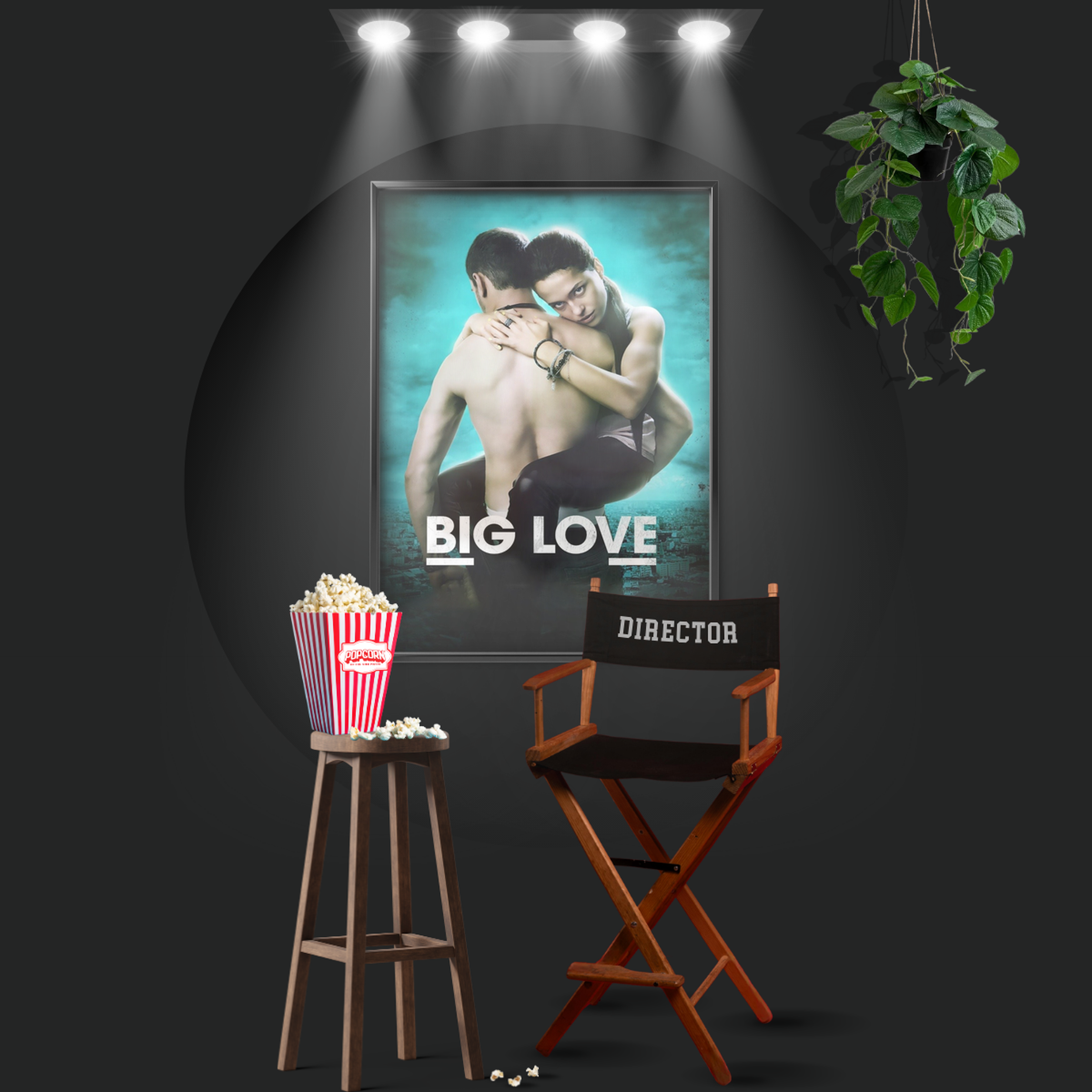 Big Love (2012)