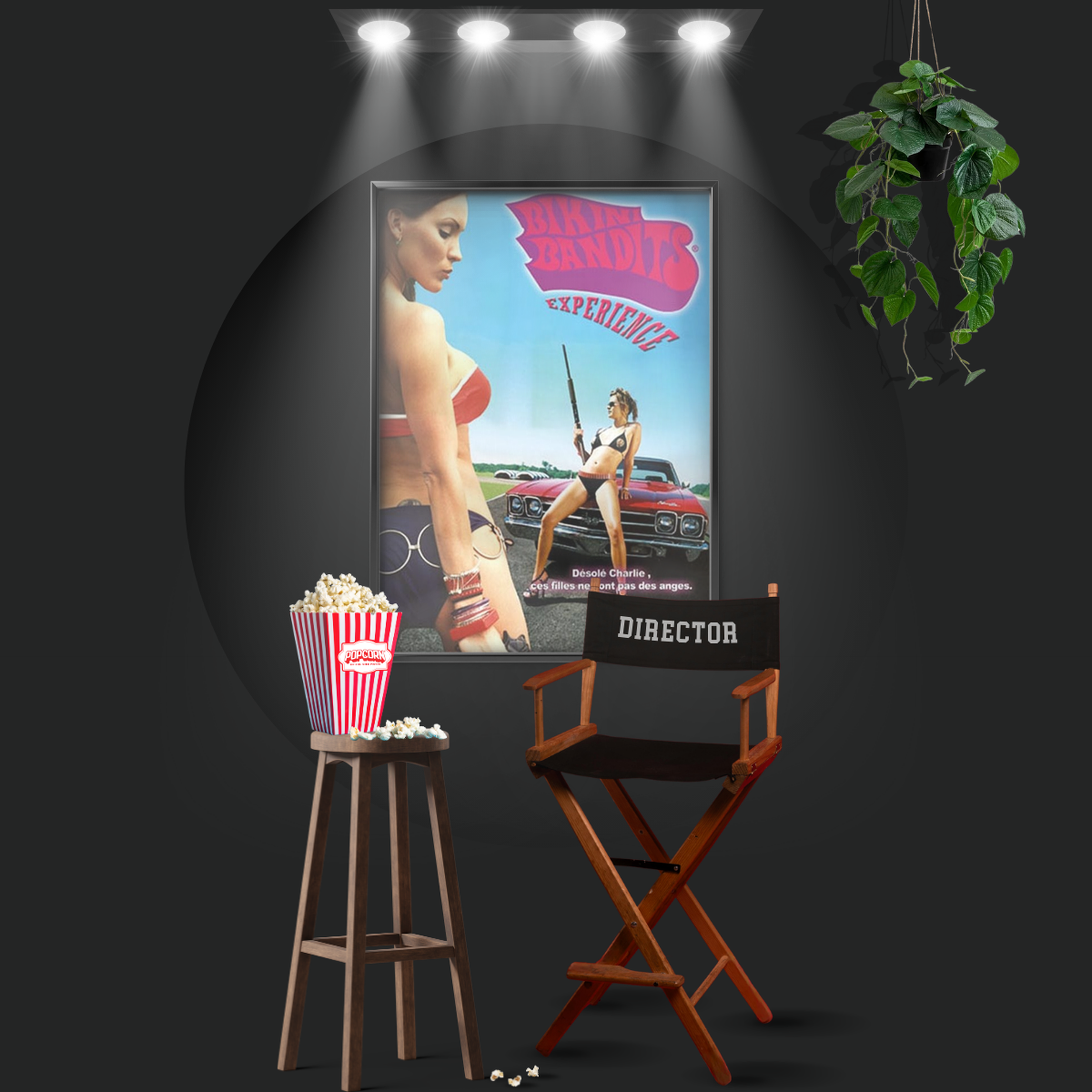 Bikini Bandits (2002)
