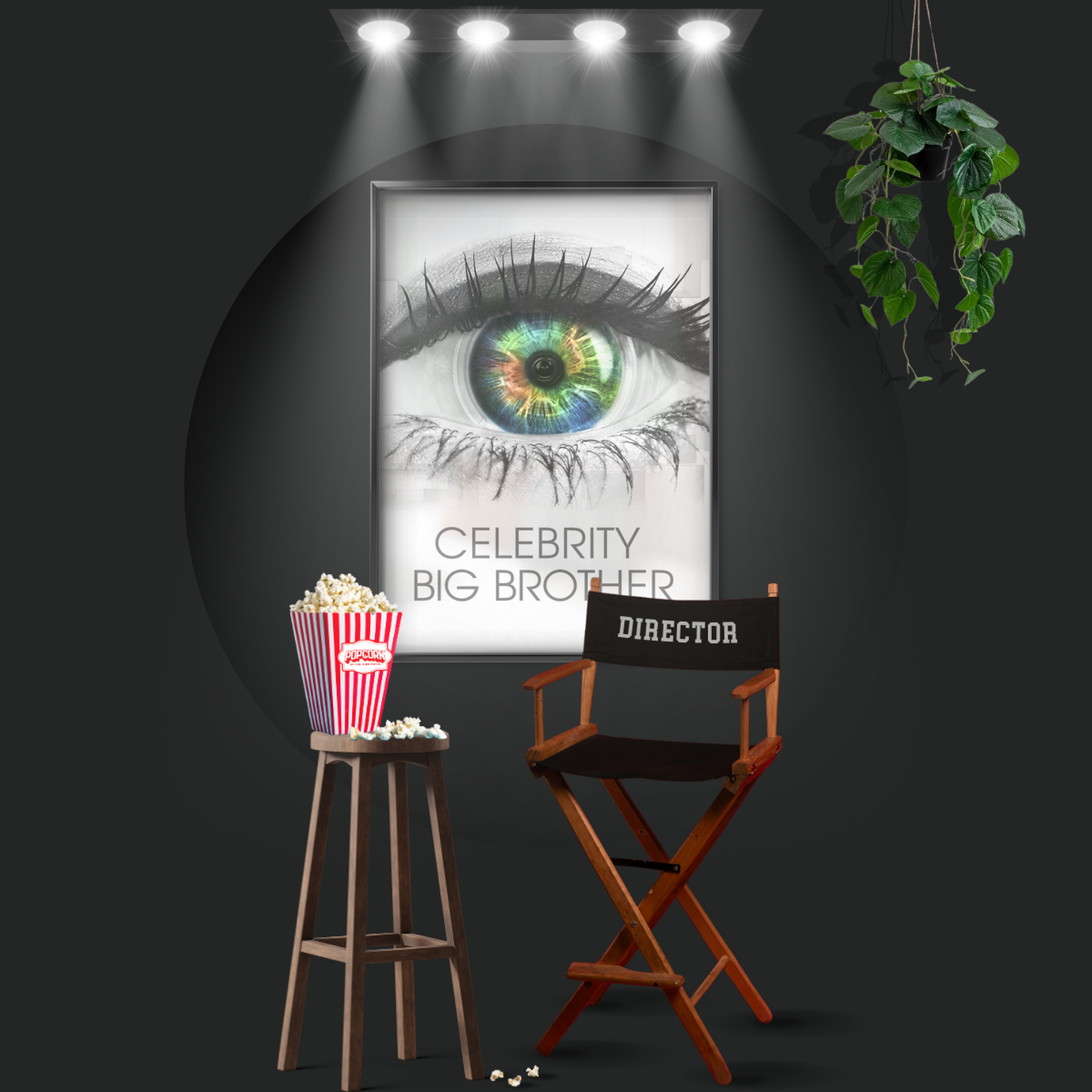 Celebrity Big Brother (2001)