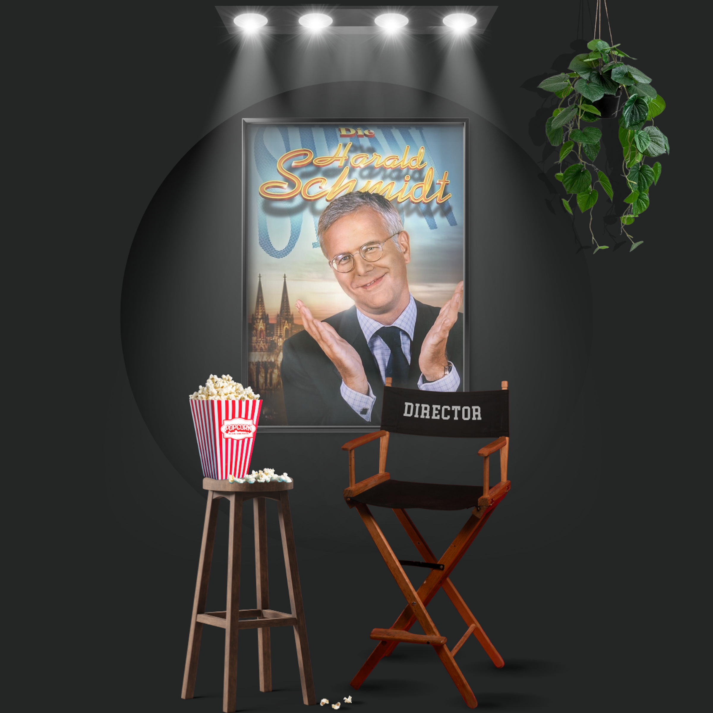 Die Harald Schmidt Show (1995)