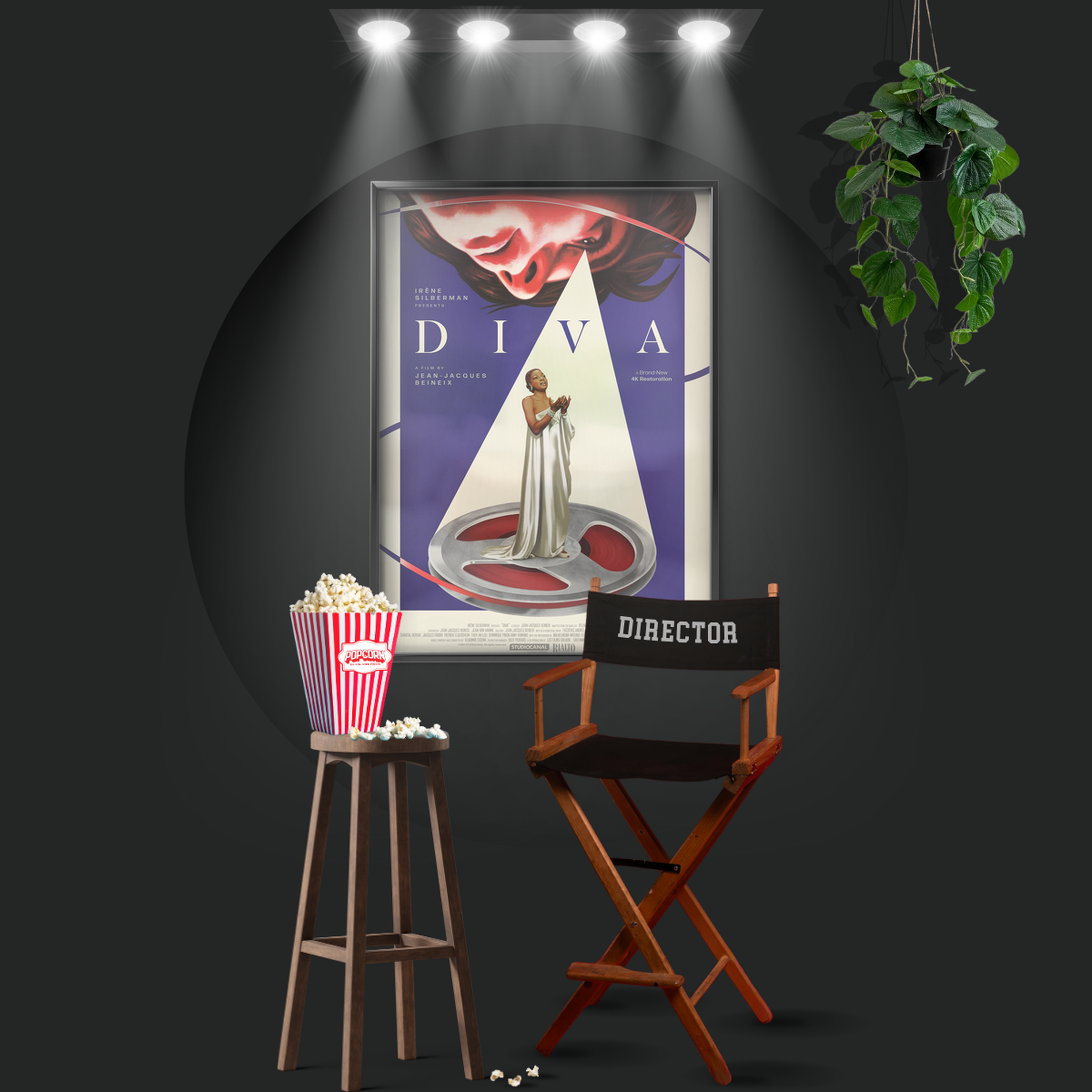 Diva (1981)