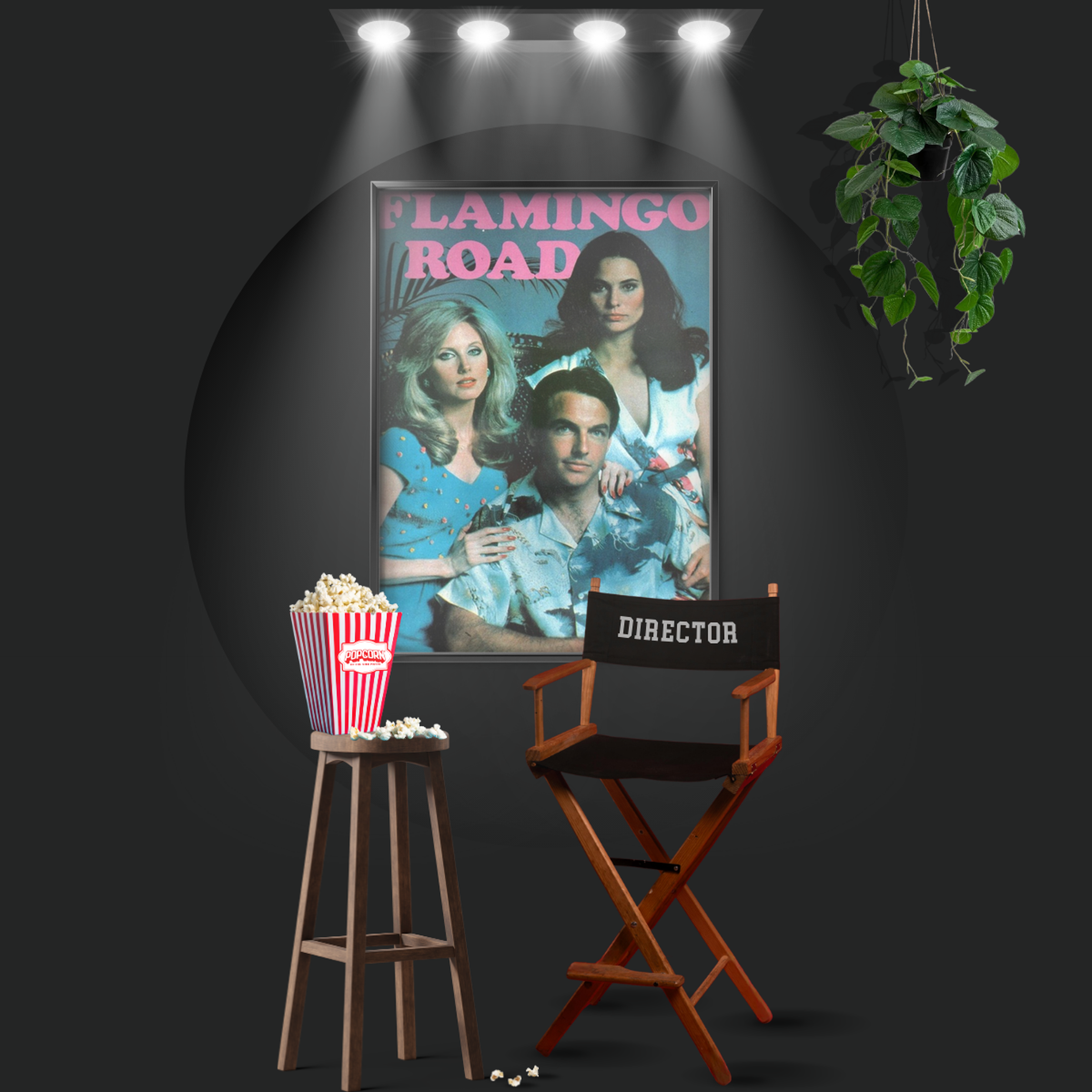 Flamingo Road (1981)