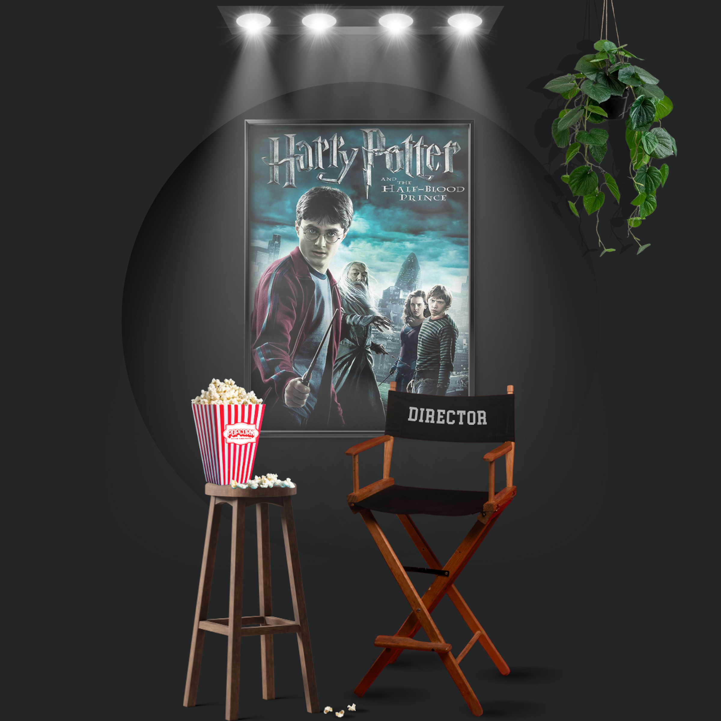 Harry Potter And The Half Blood Prince (2009)