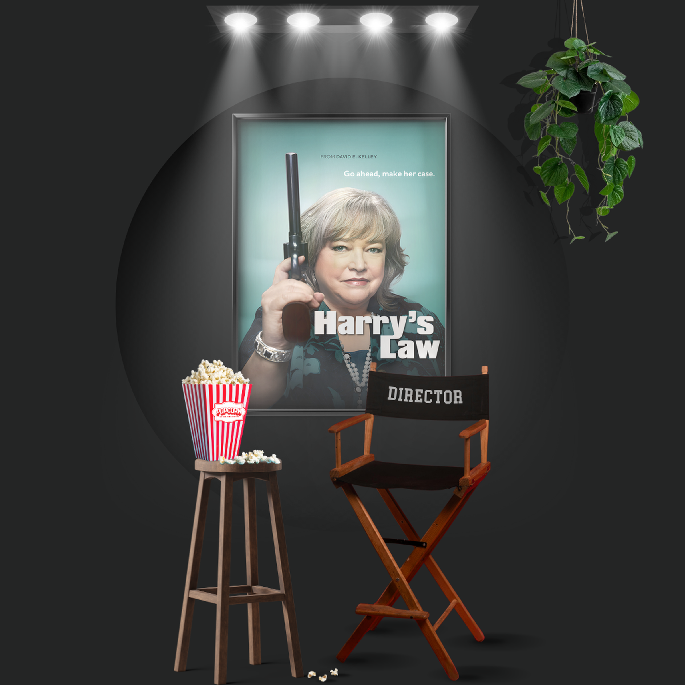 Harry's Law (2011)