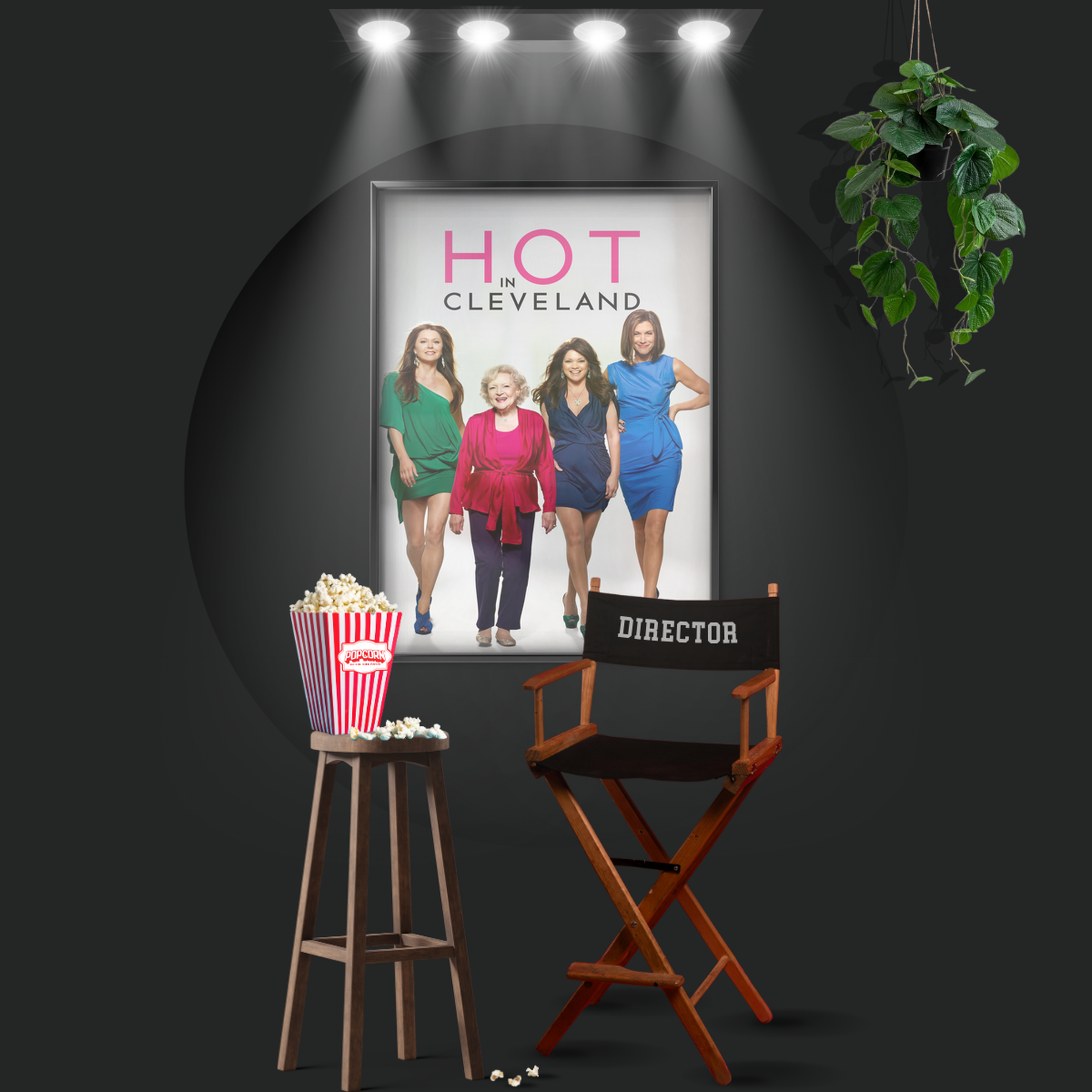 Hot In Cleveland (2010)