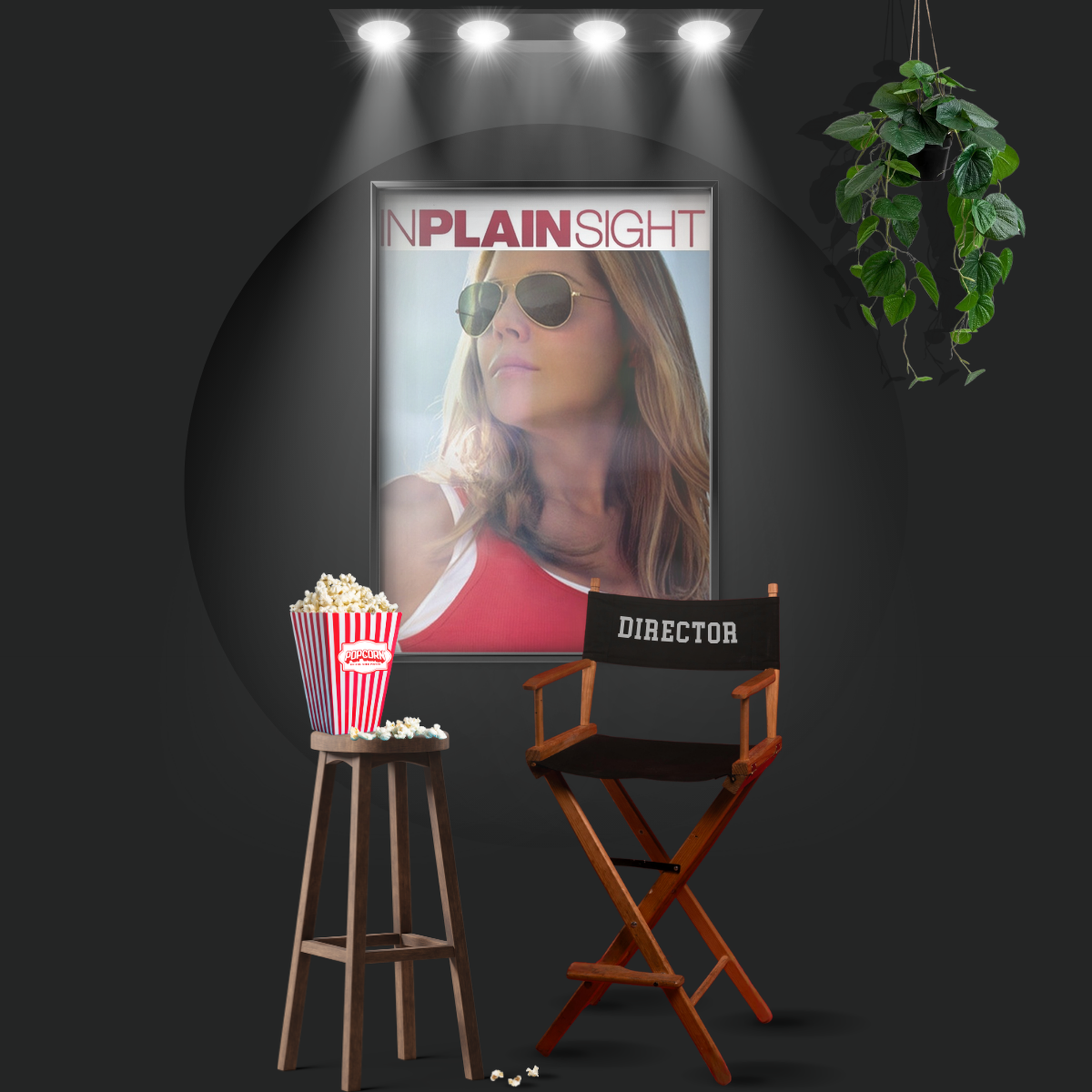 In Plain Sight (2008)