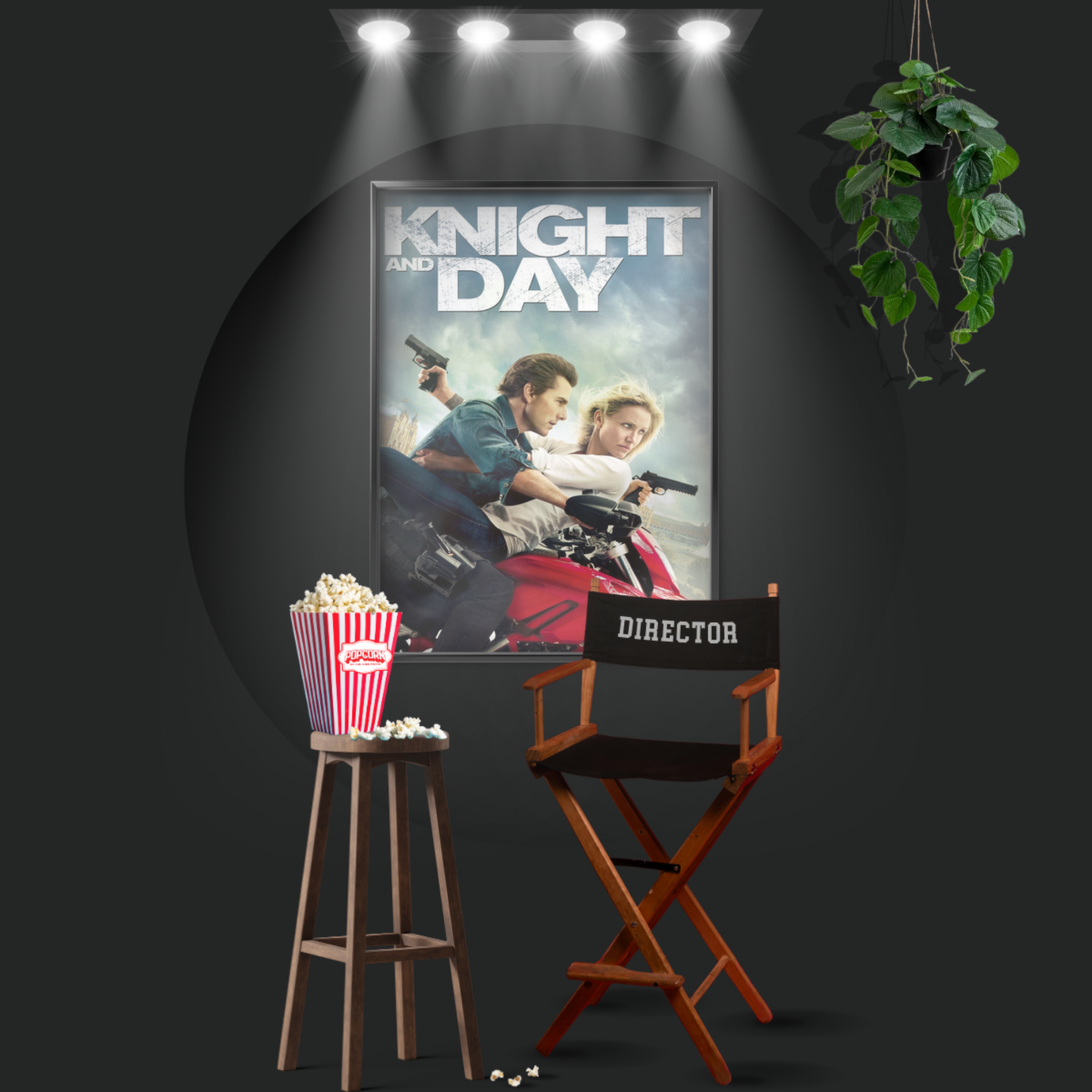 Knight And Day (2010)