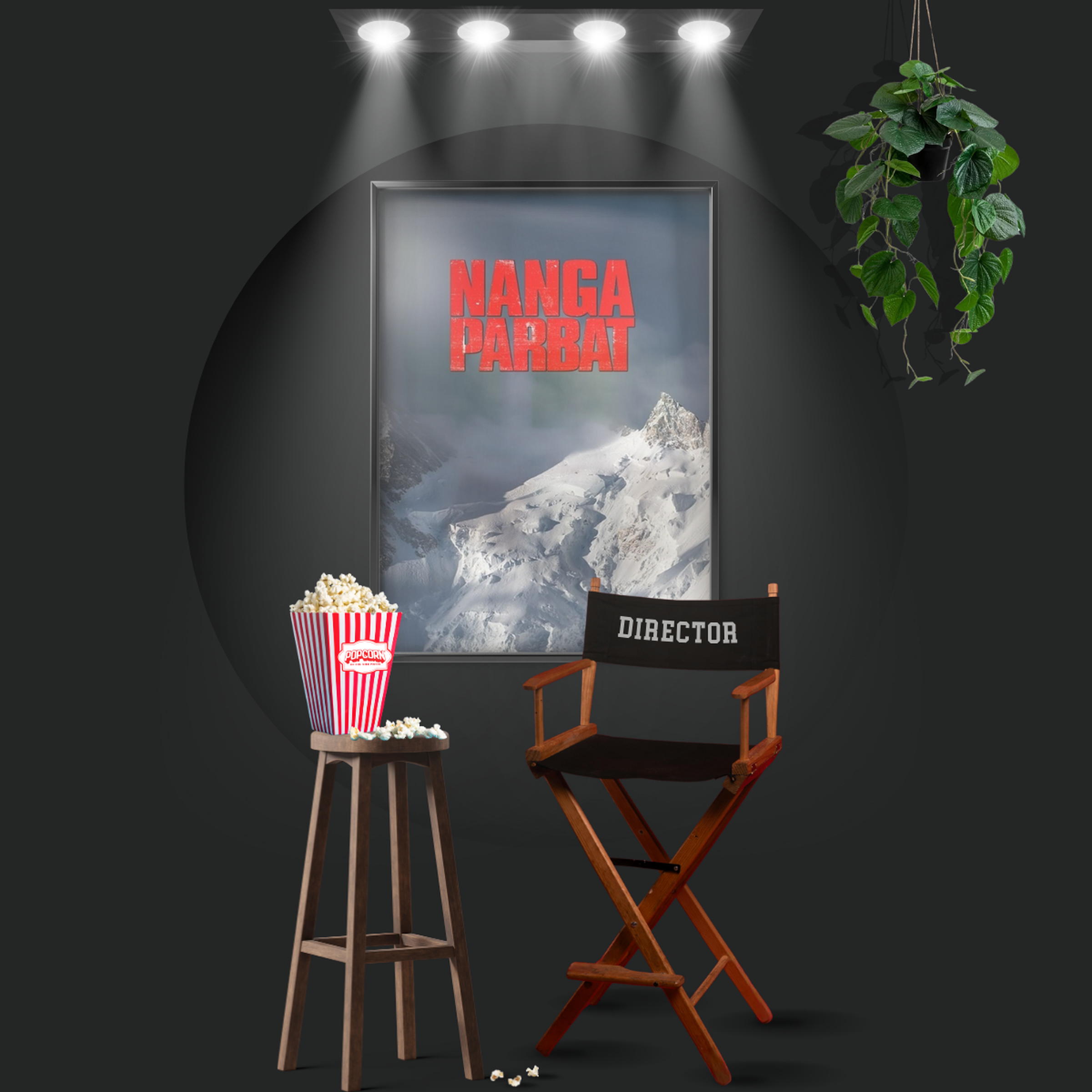Nanga Parbat (2010)