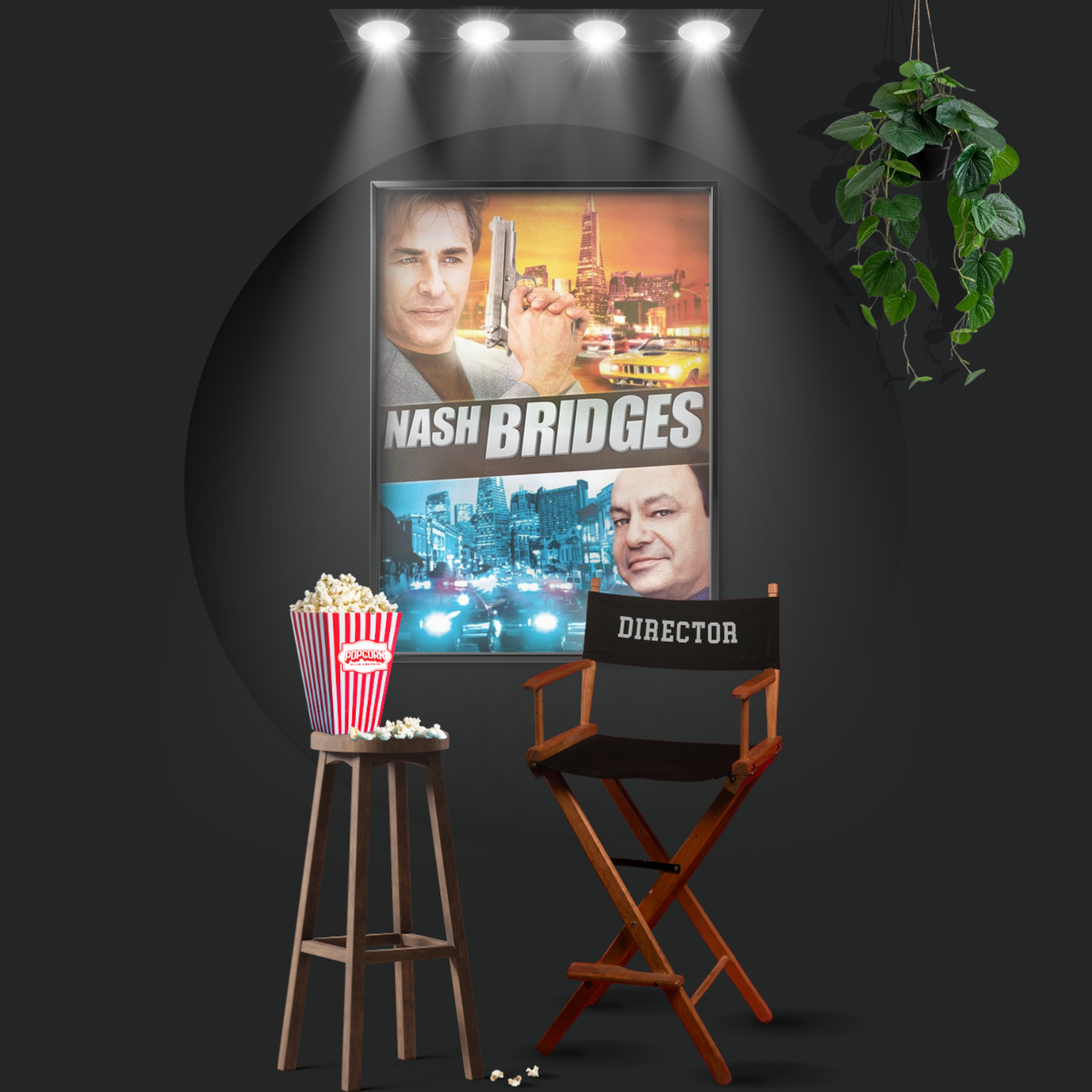 Nash Bridges (1996)