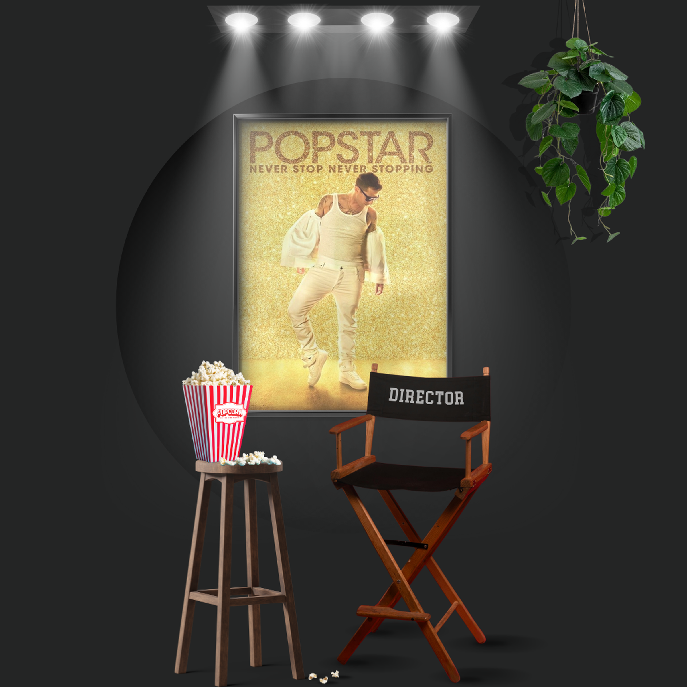 Popstar Never Stop Never Stopping (2016)