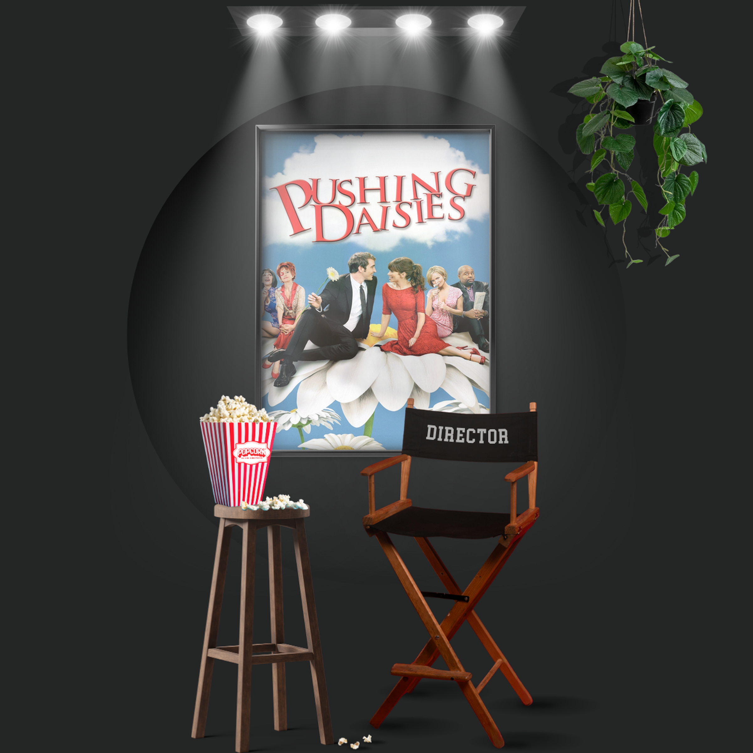 Pushing Daisies (2007)