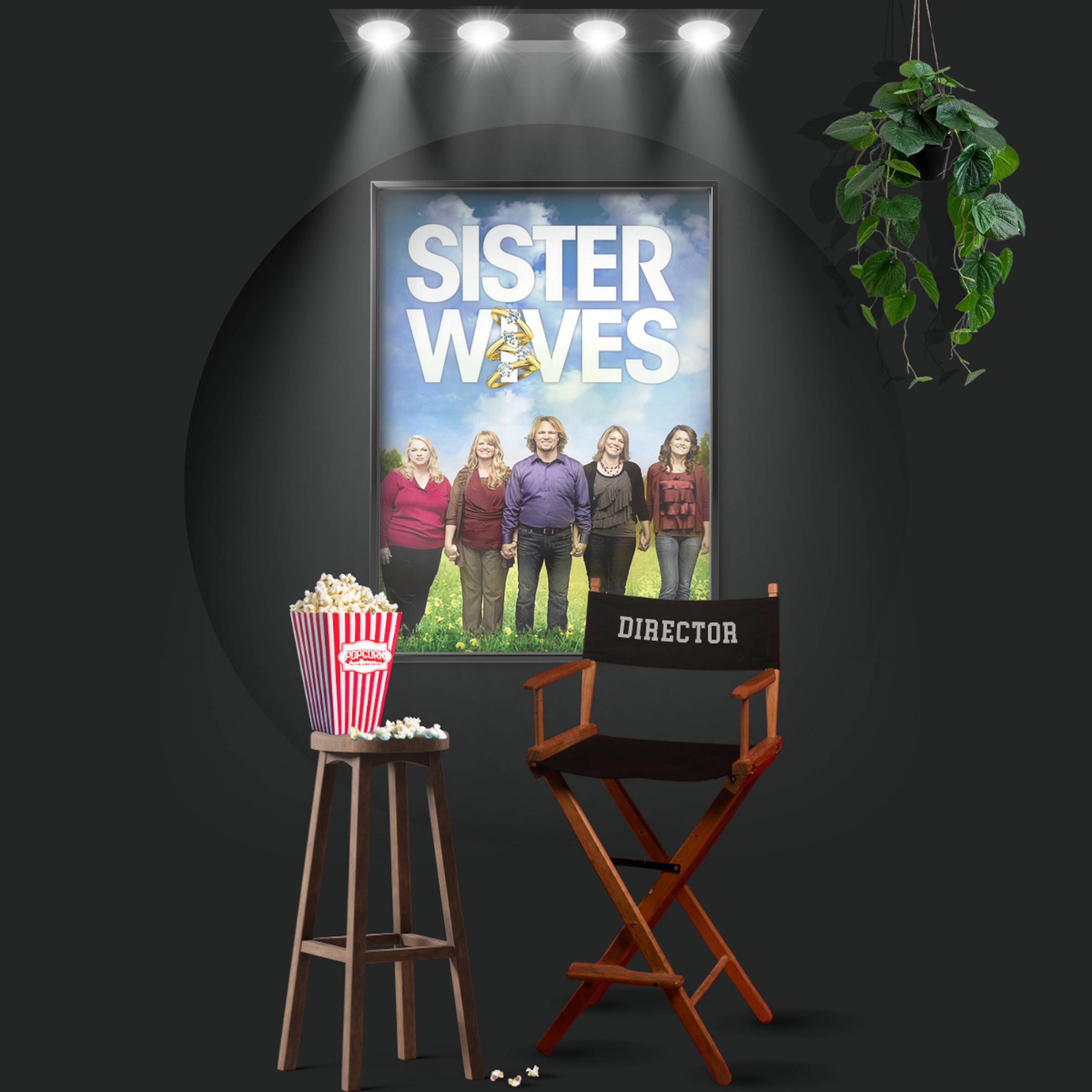 Sister Wives (2010)
