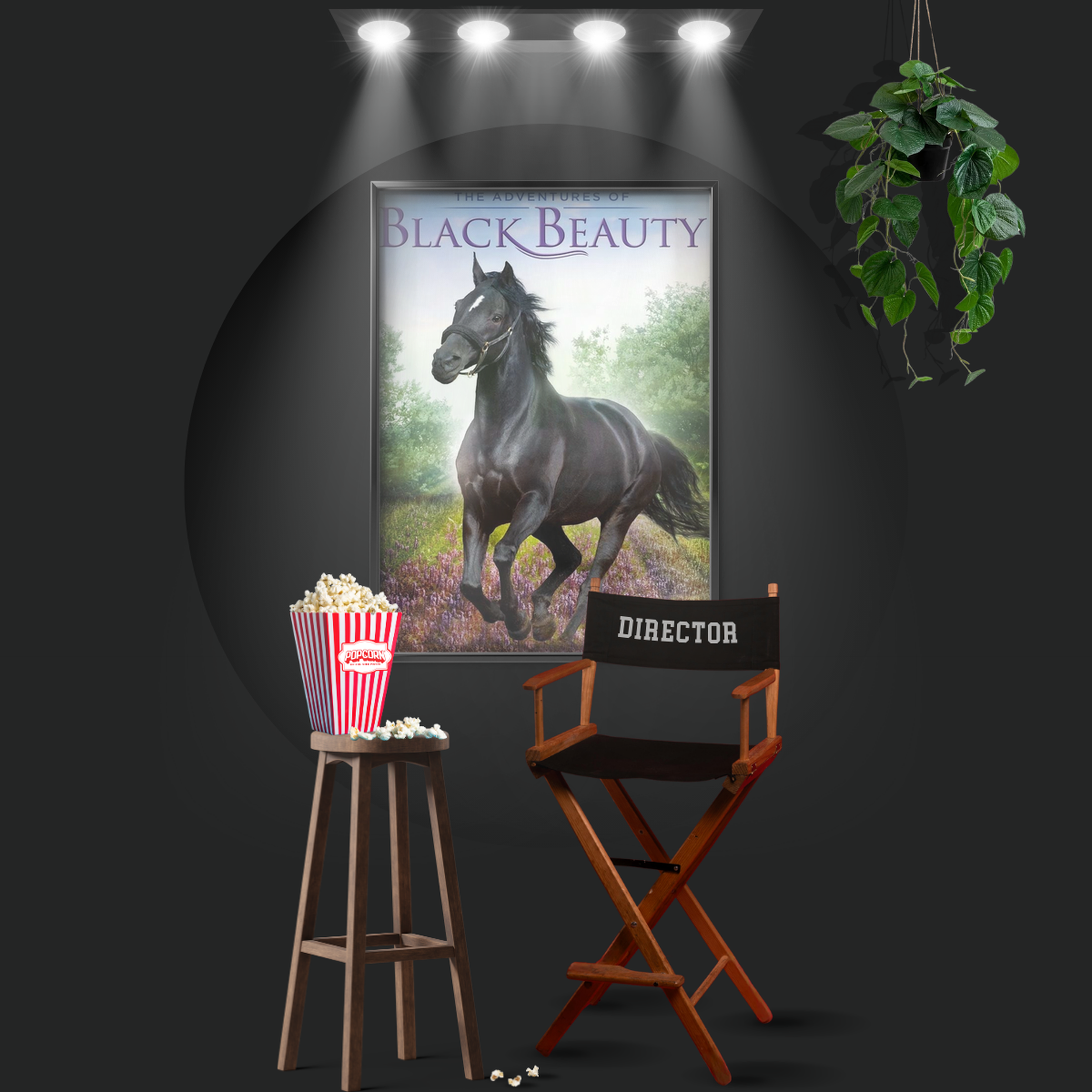 The Adventures Of Black Beauty (1972)