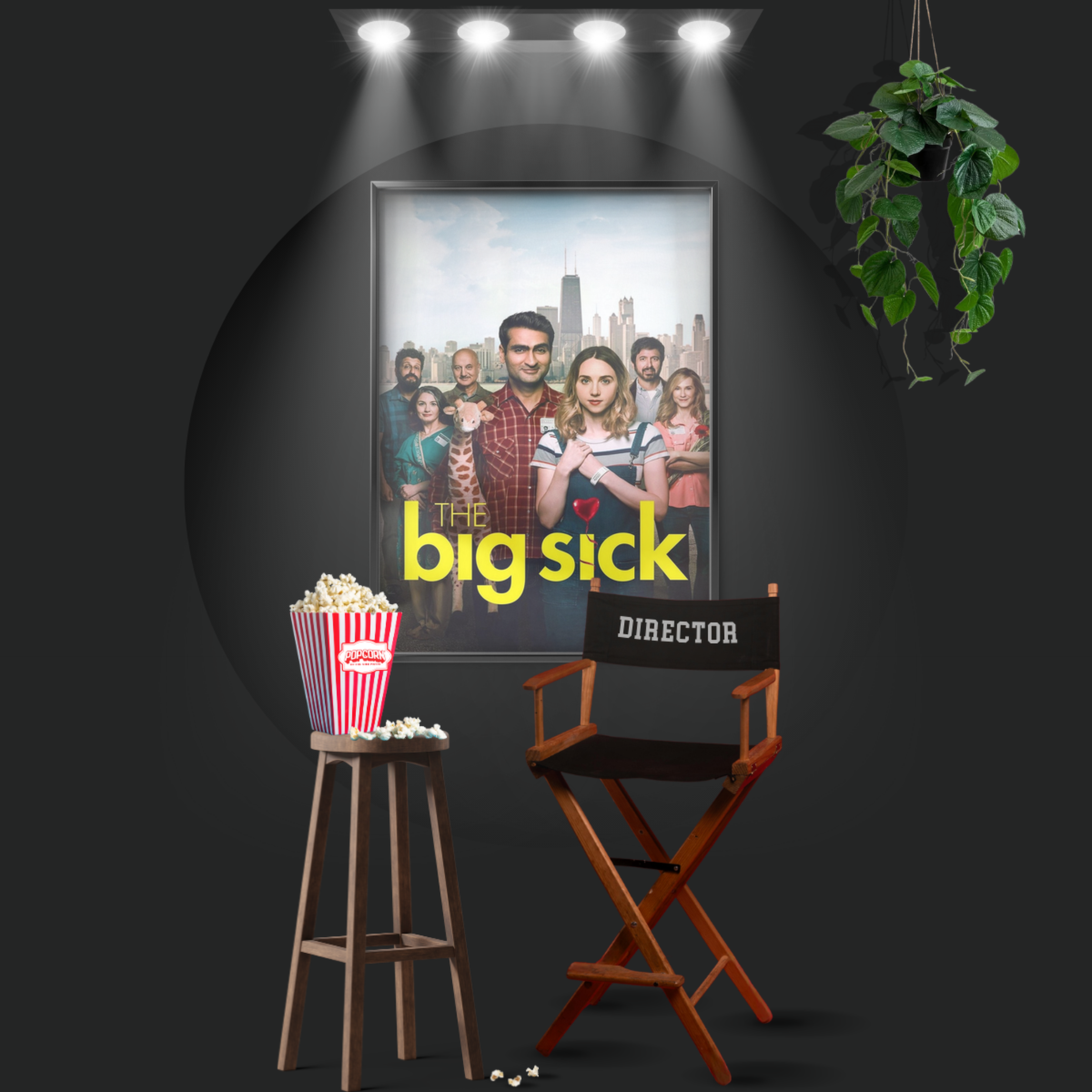 The Big Sick (2017)