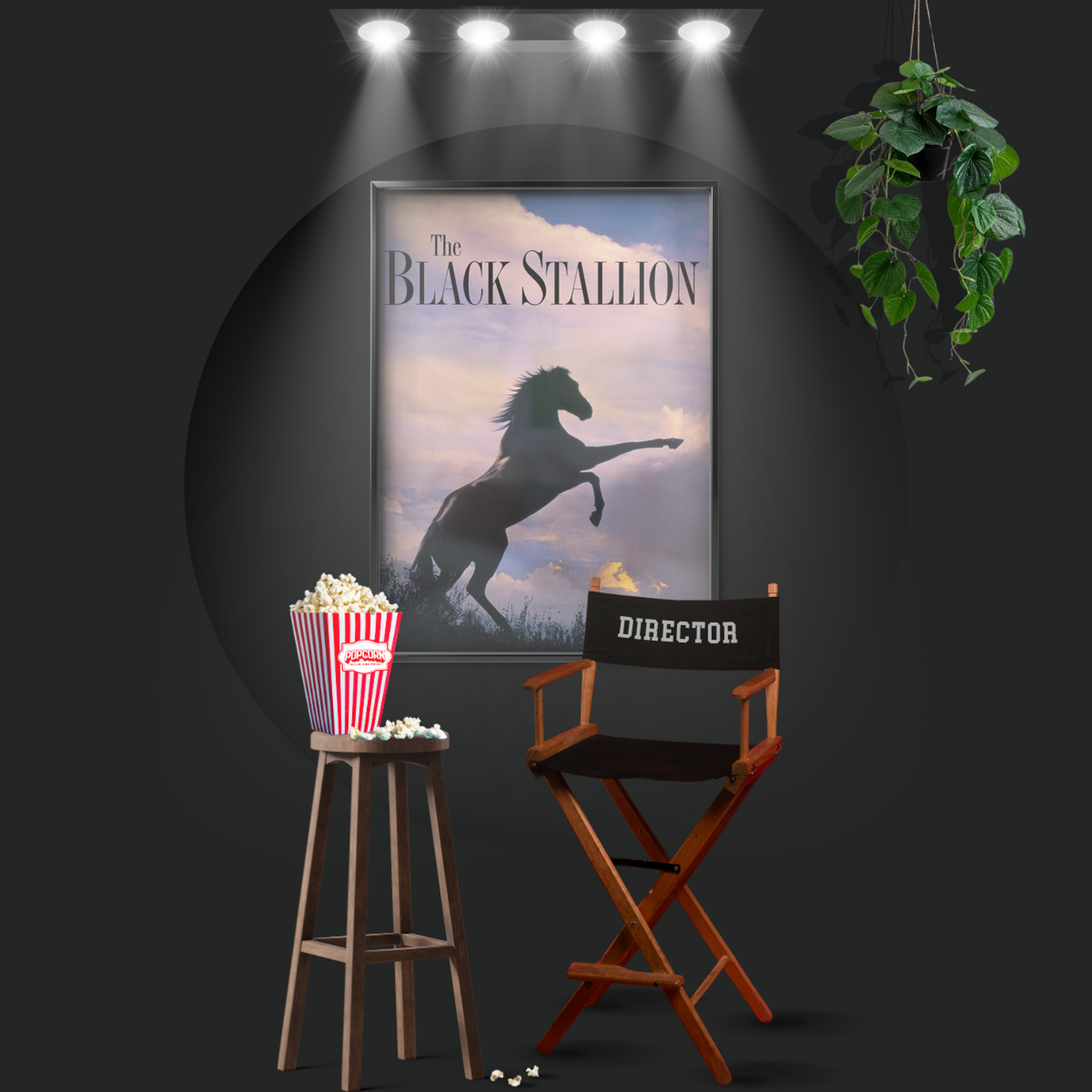 The Black Stallion (1979)