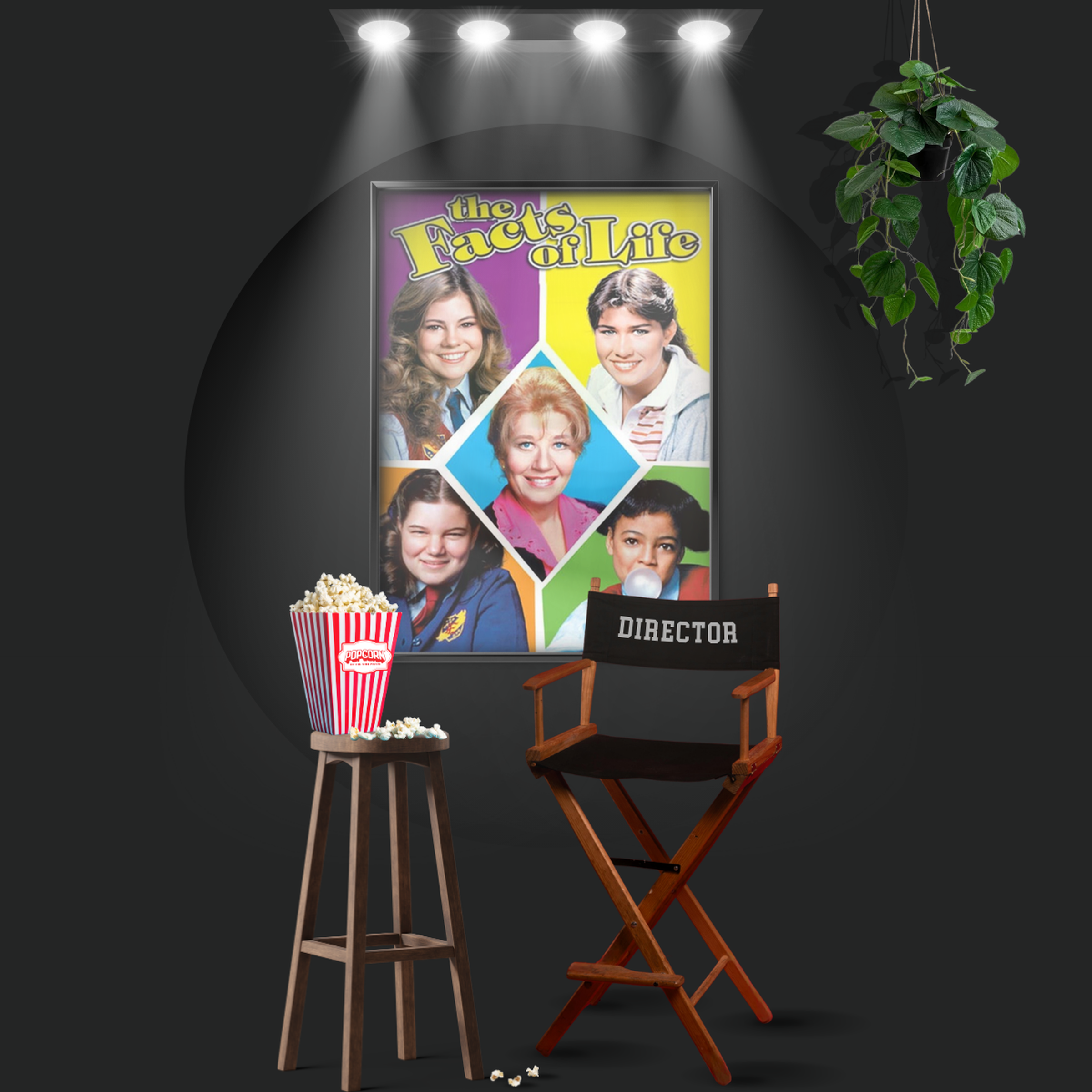 The Facts Of Life (1979)