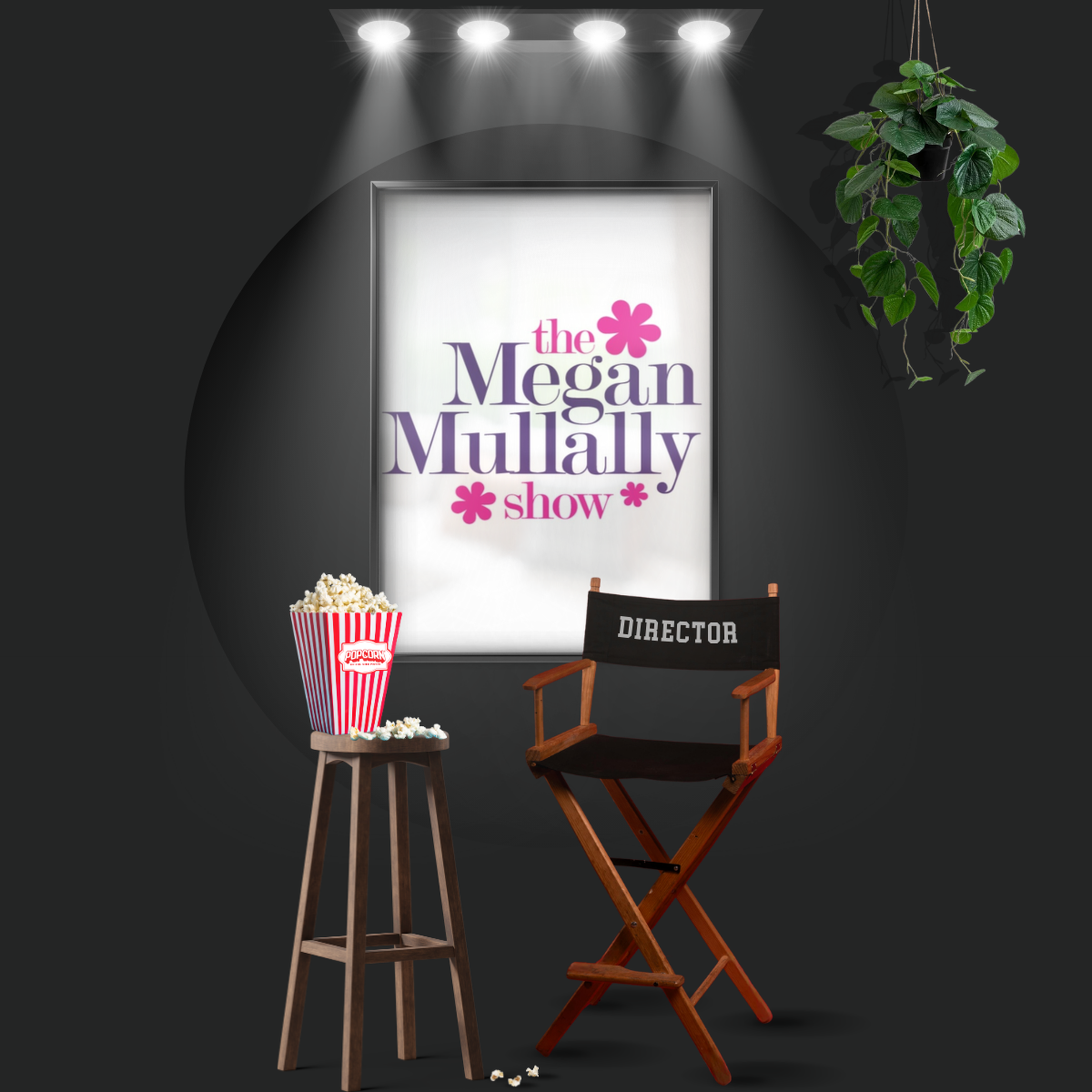 The Megan Mullally Show (2006)