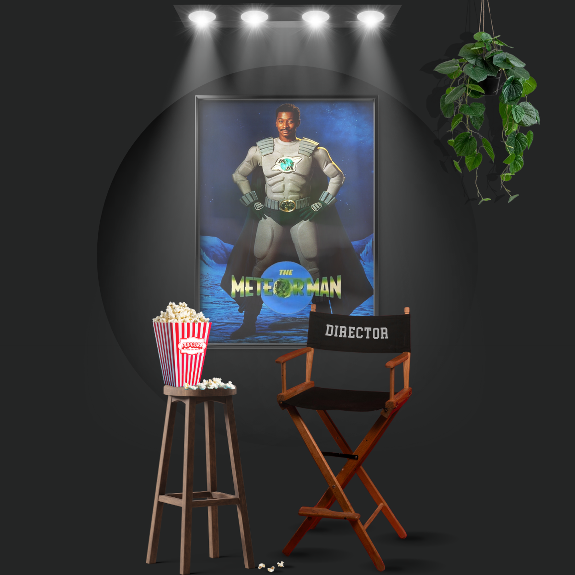 The Meteor Man (1993)