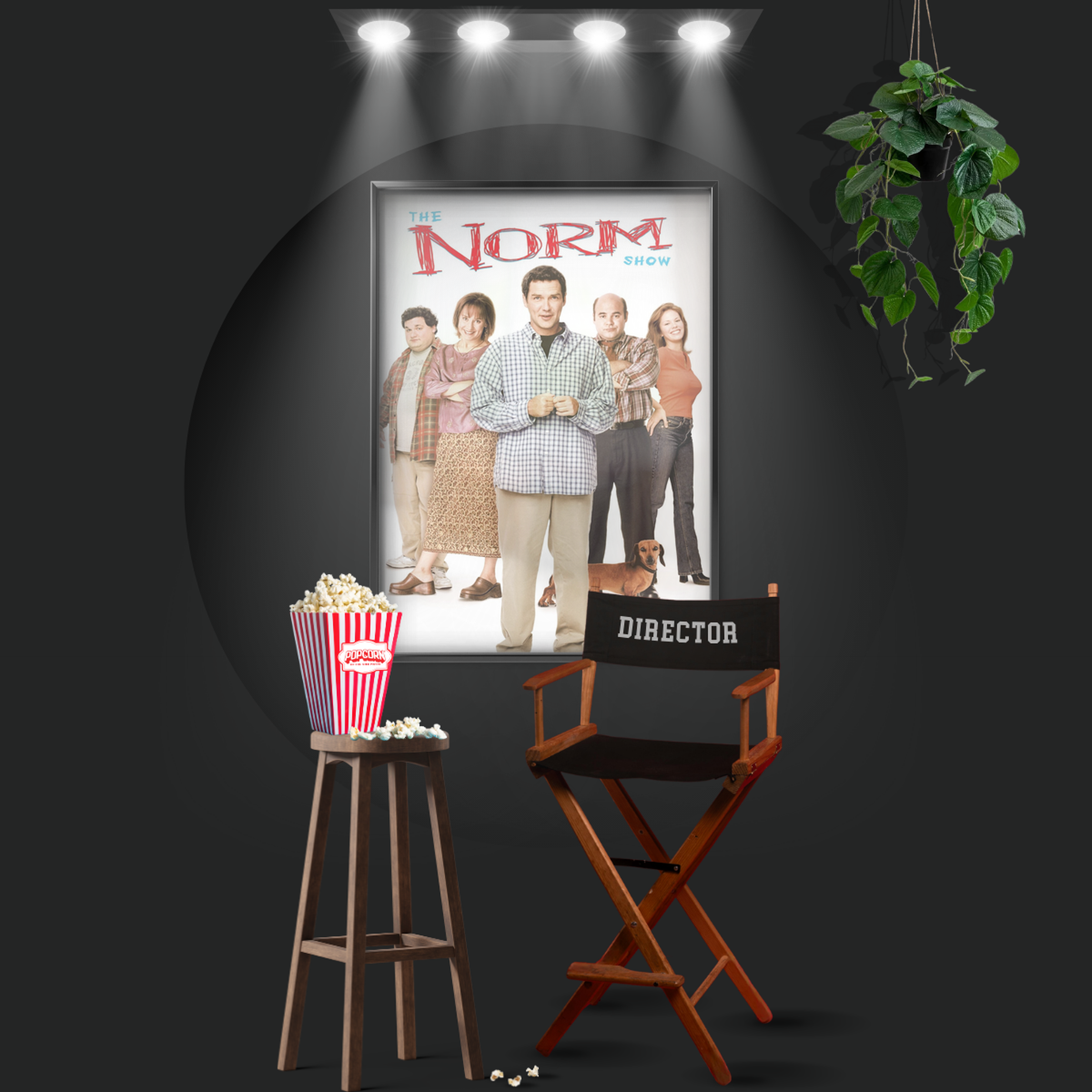 The Norm Show (1999)