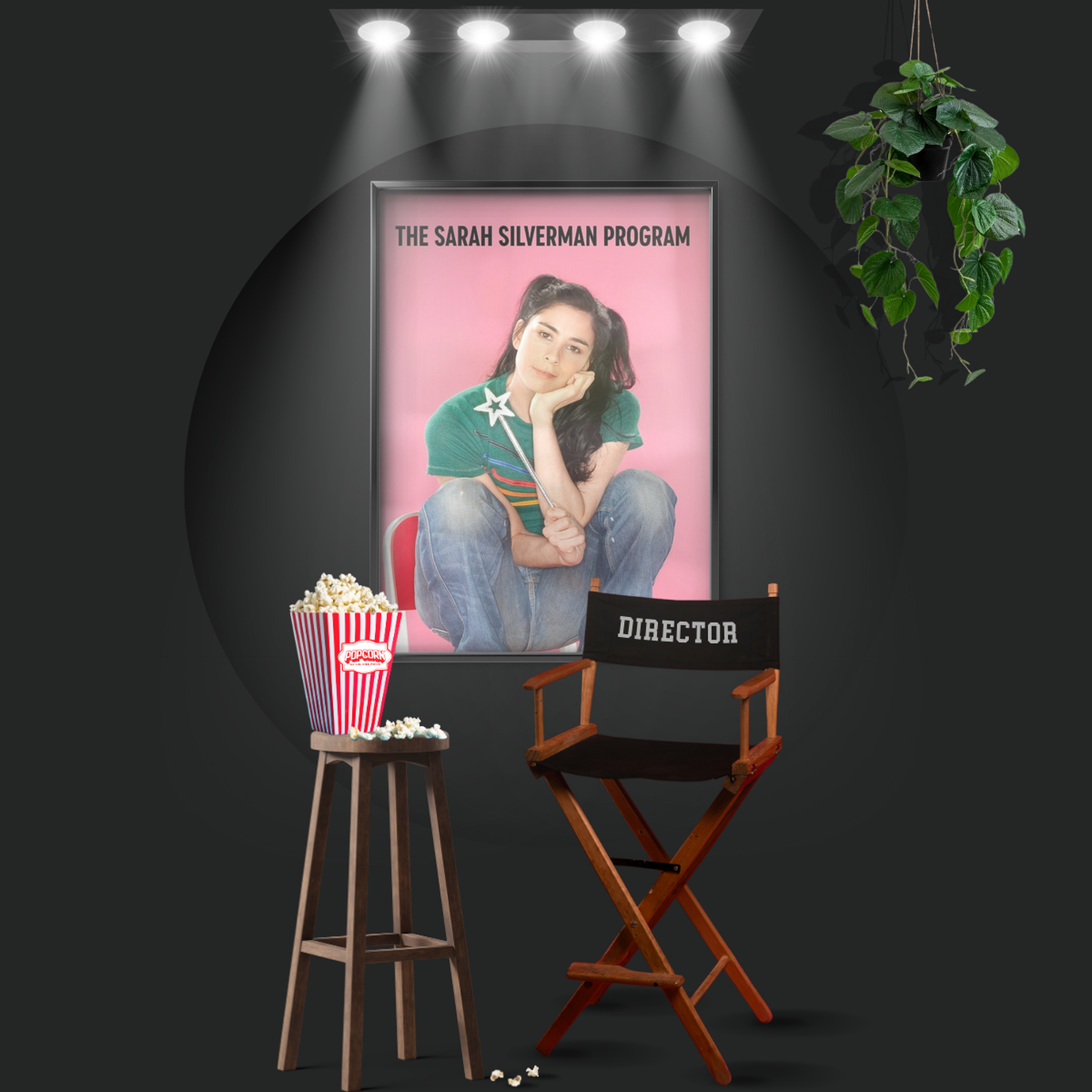 The Sarah Silverman Program. (2007)