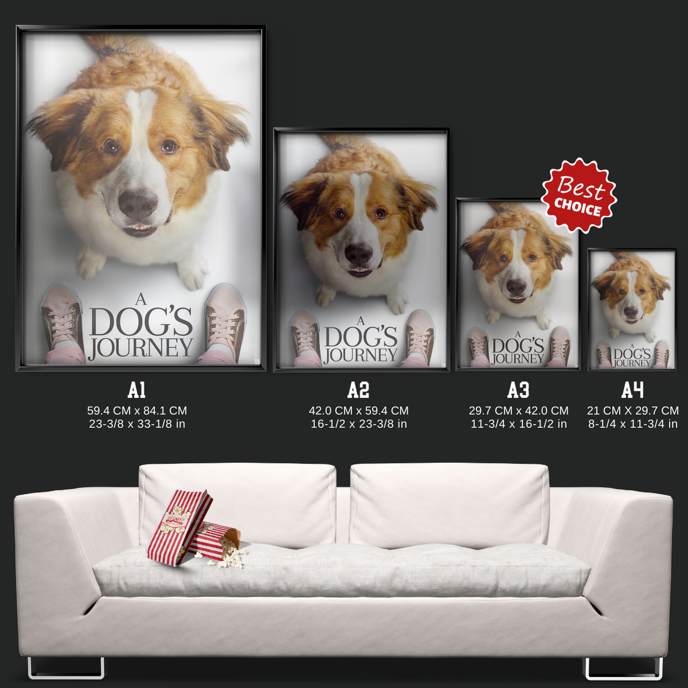 A Dog's Journey (2019)