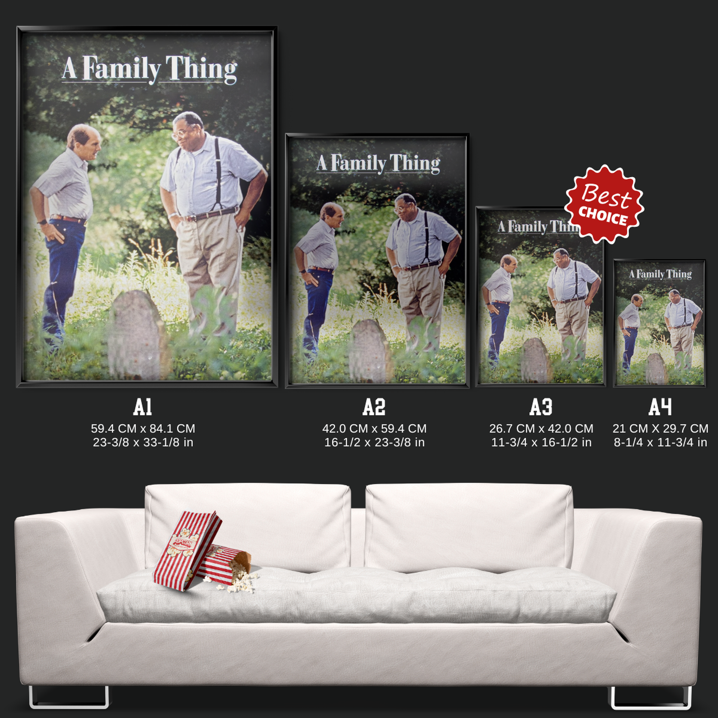 A Family Thing (1996)