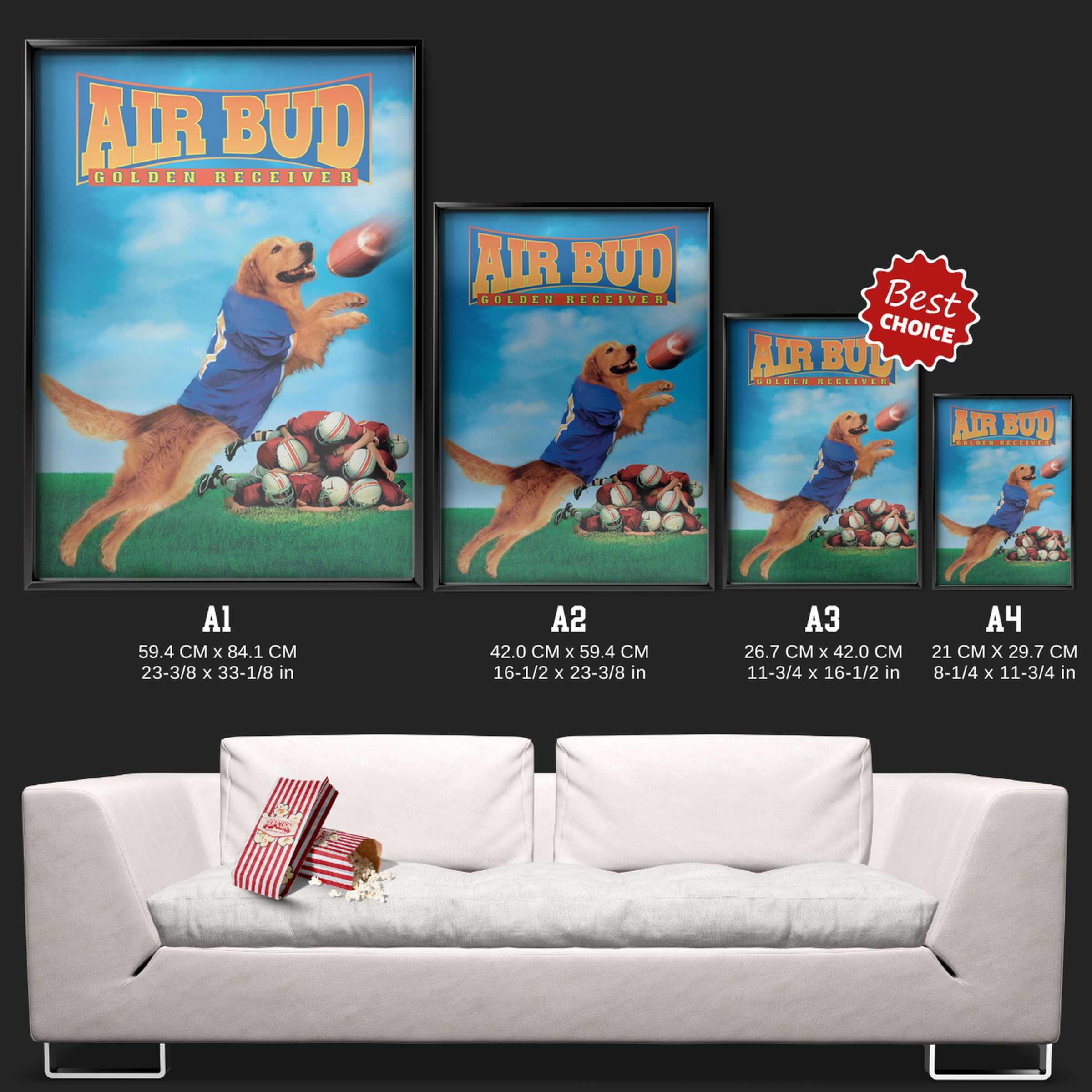 Air Bud Golden Receiver (1998)