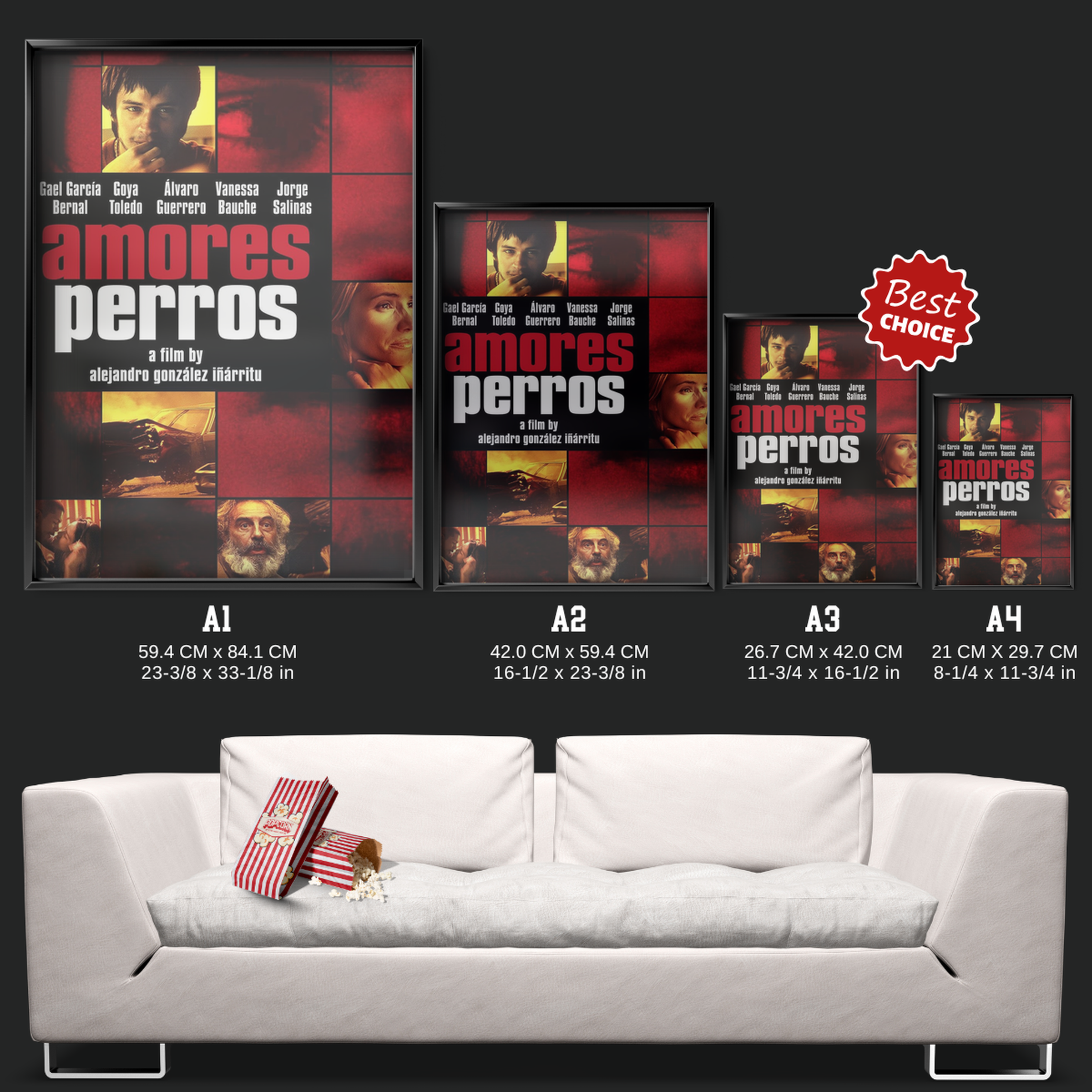 Amores Perros (2000)