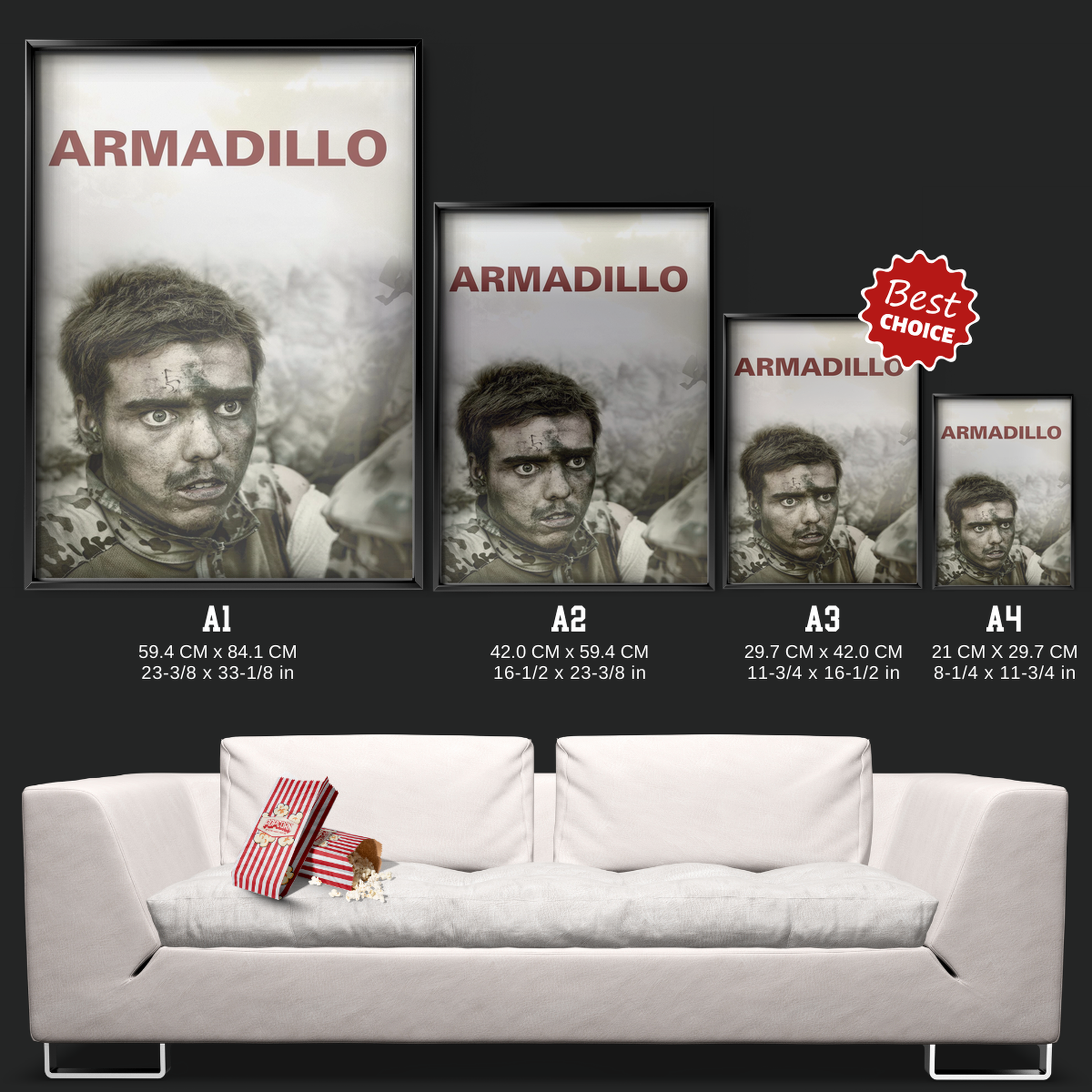 Armadillo (2010)