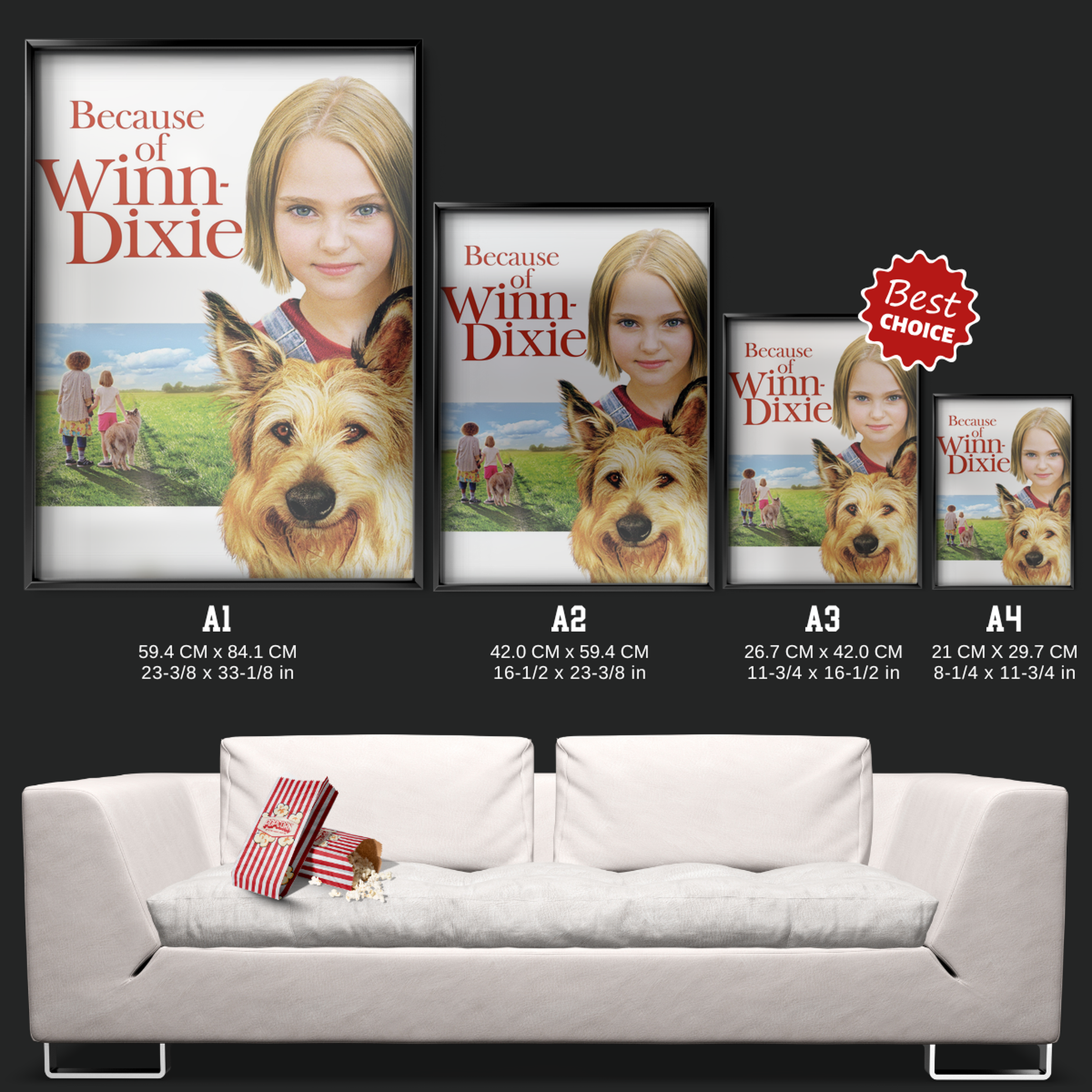 Because Of Winn Dixie (2005)
