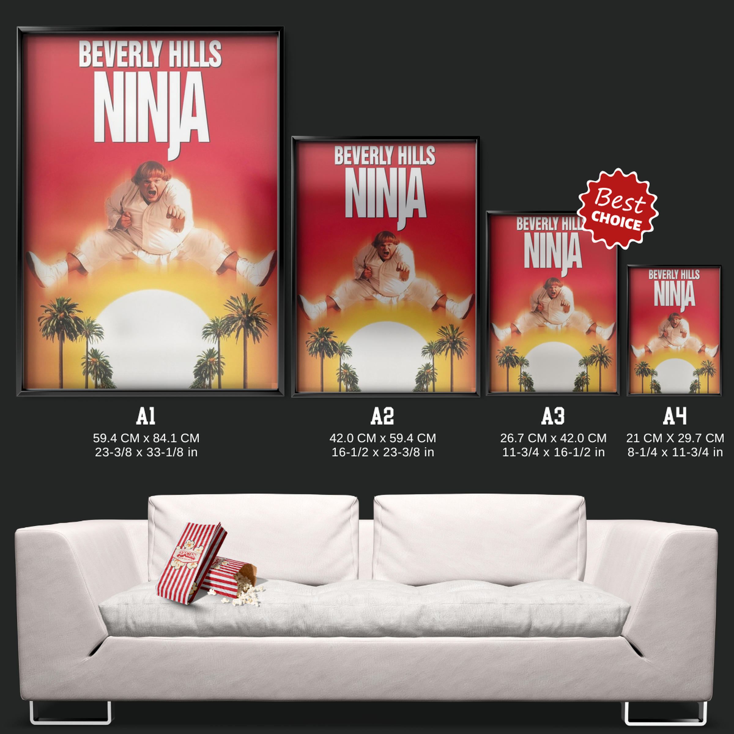 Beverly Hills Ninja (1997)