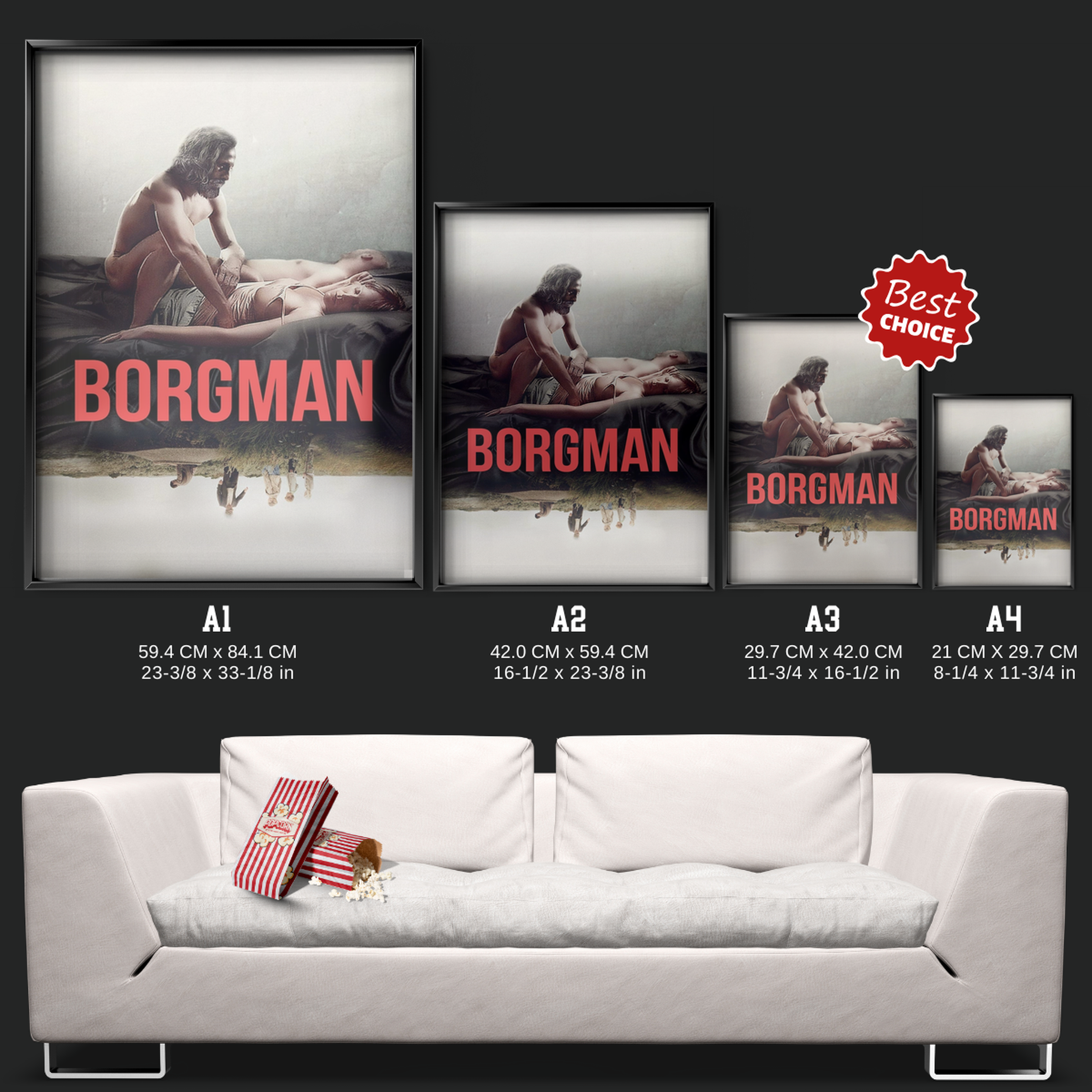 Borgman (2013)